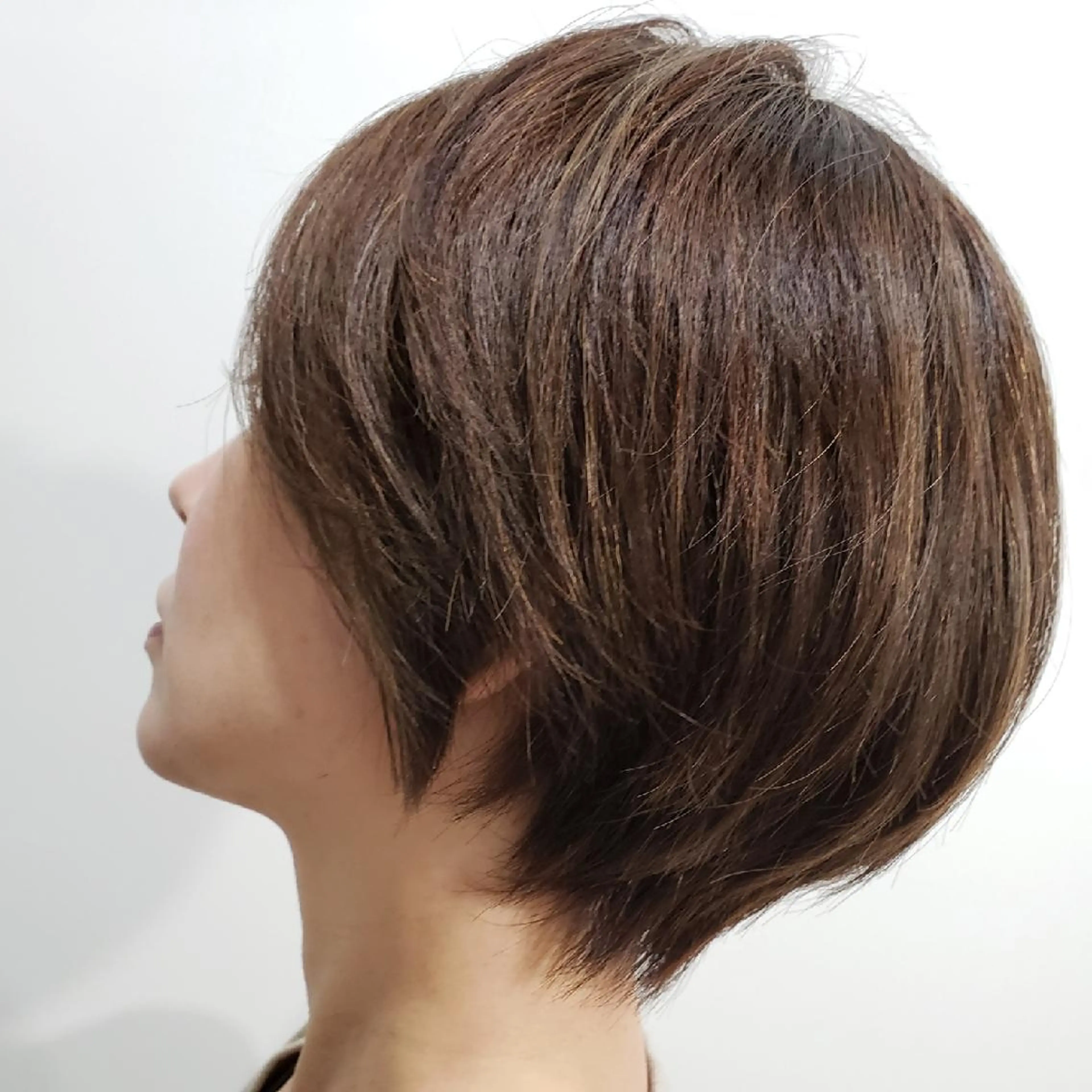 ショート カラー 饒平名 知也のヘアスタイル