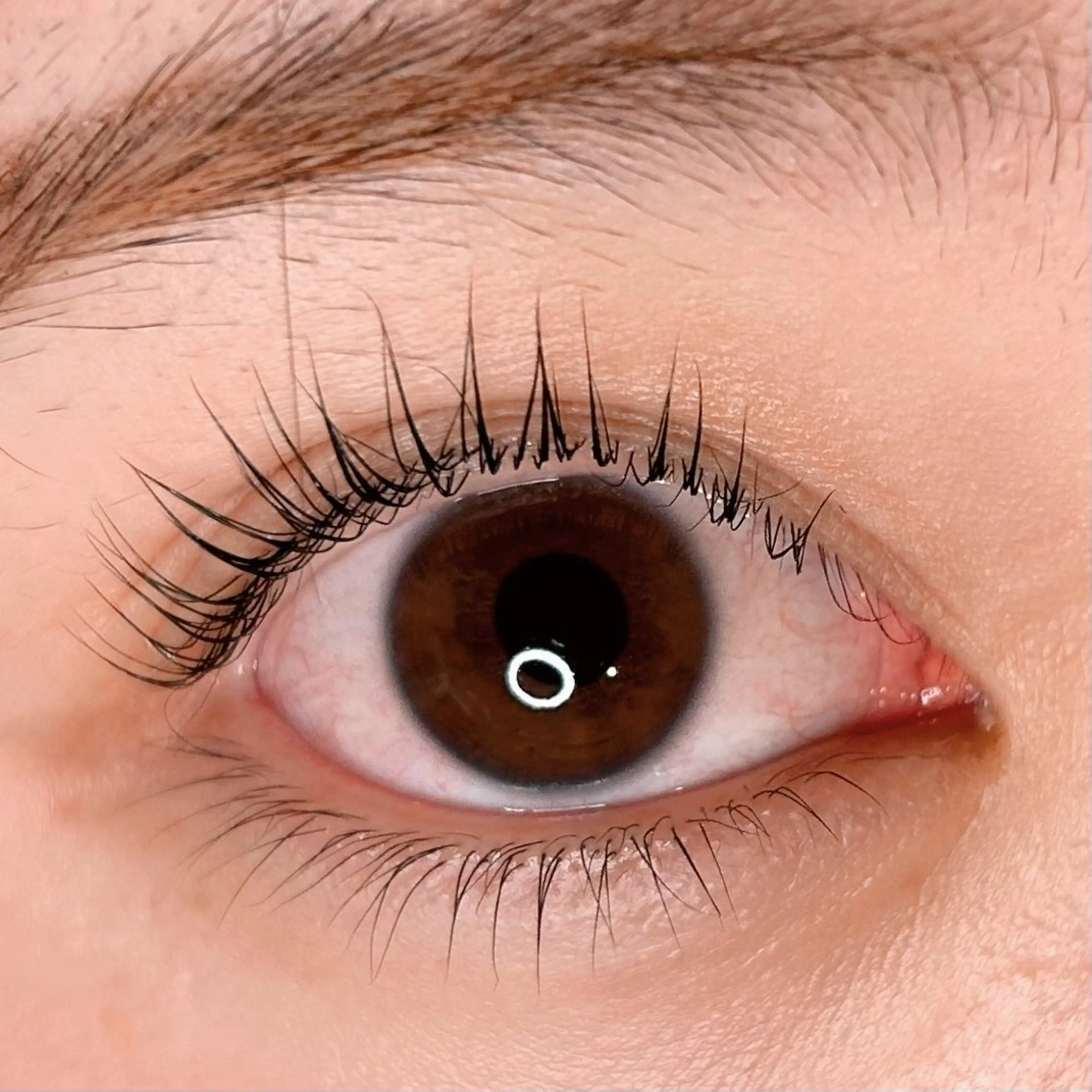 マツエク・マツパ パリジェンヌラッシュリフト soposilma 🧸今季OPENのマツエク・マツパデザイン