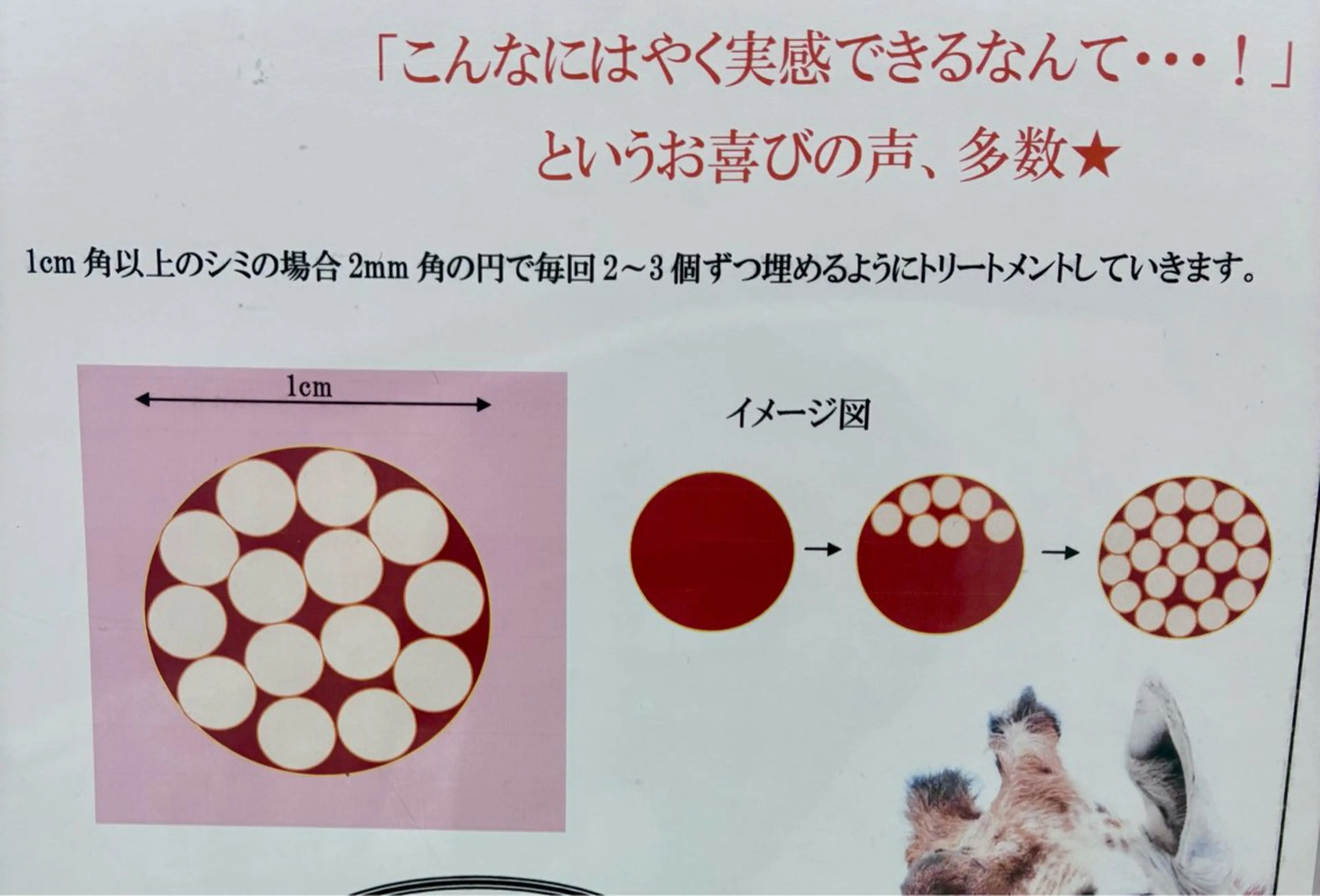 シミケア/ハーブピーリング/脱毛/小顔フェイシャル/ハーブ温浴　LAULEA所属・素肌をキレイに ラウレア🌼Hayaのエステ・リラクイメージ