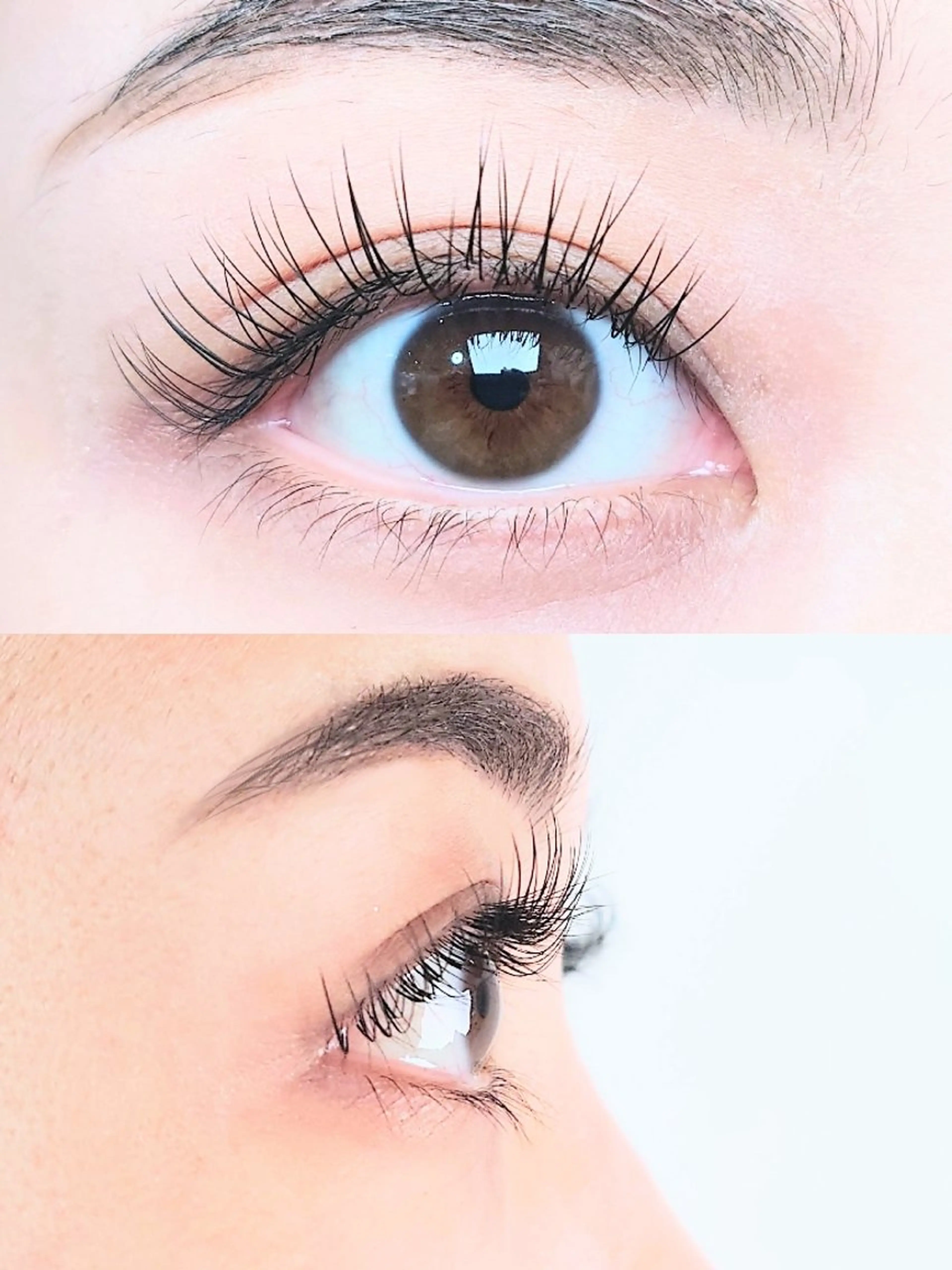 マツエク・マツパ フラットラッシュ Lカール マツエク joie ange 難波店　斎藤のマツエク・マツパデザイン