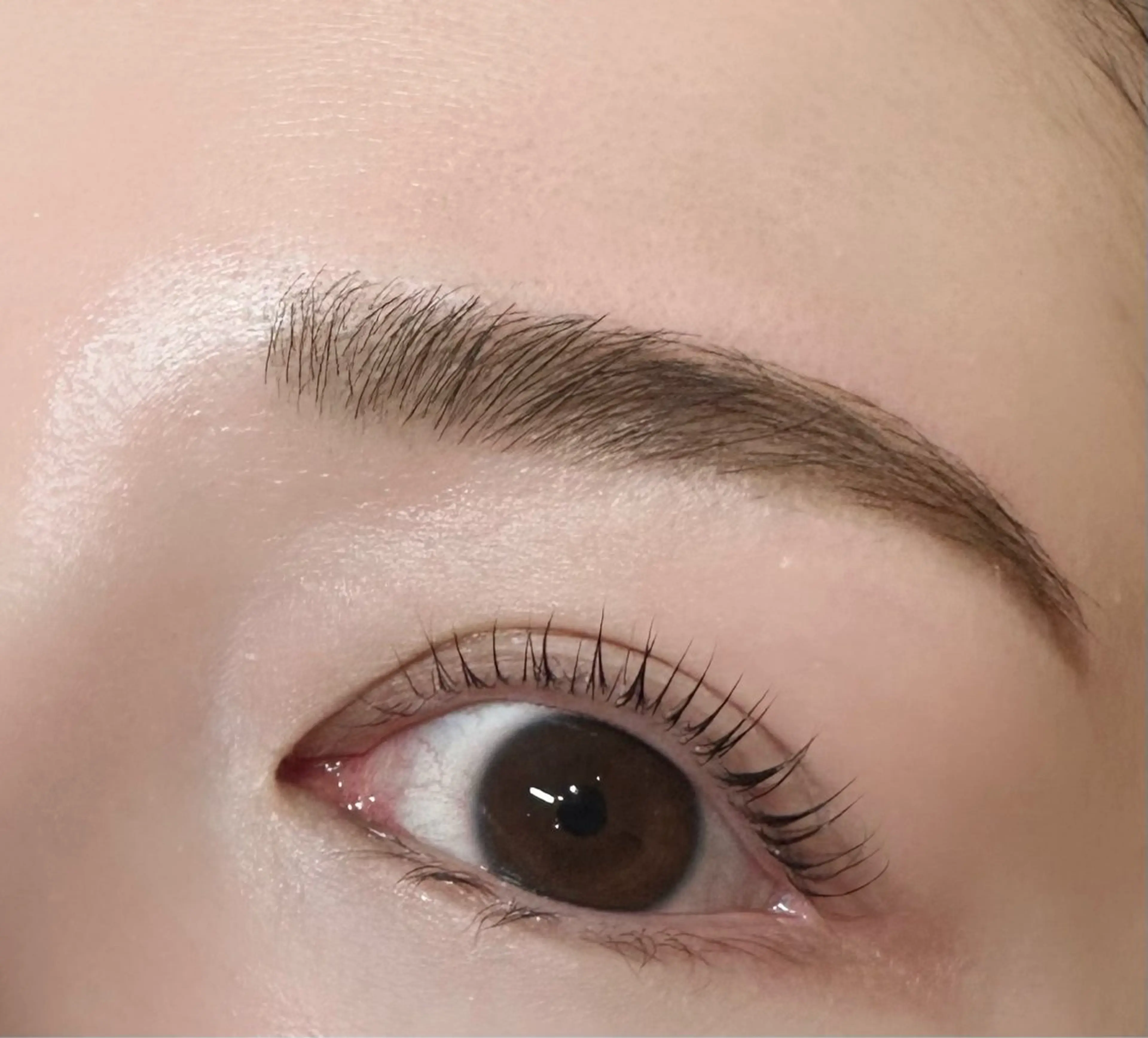 アイブロウ ワックス脱毛 眉カット その他(アイブロウ) Luxe tamura🎀のマツエク・マツパデザイン