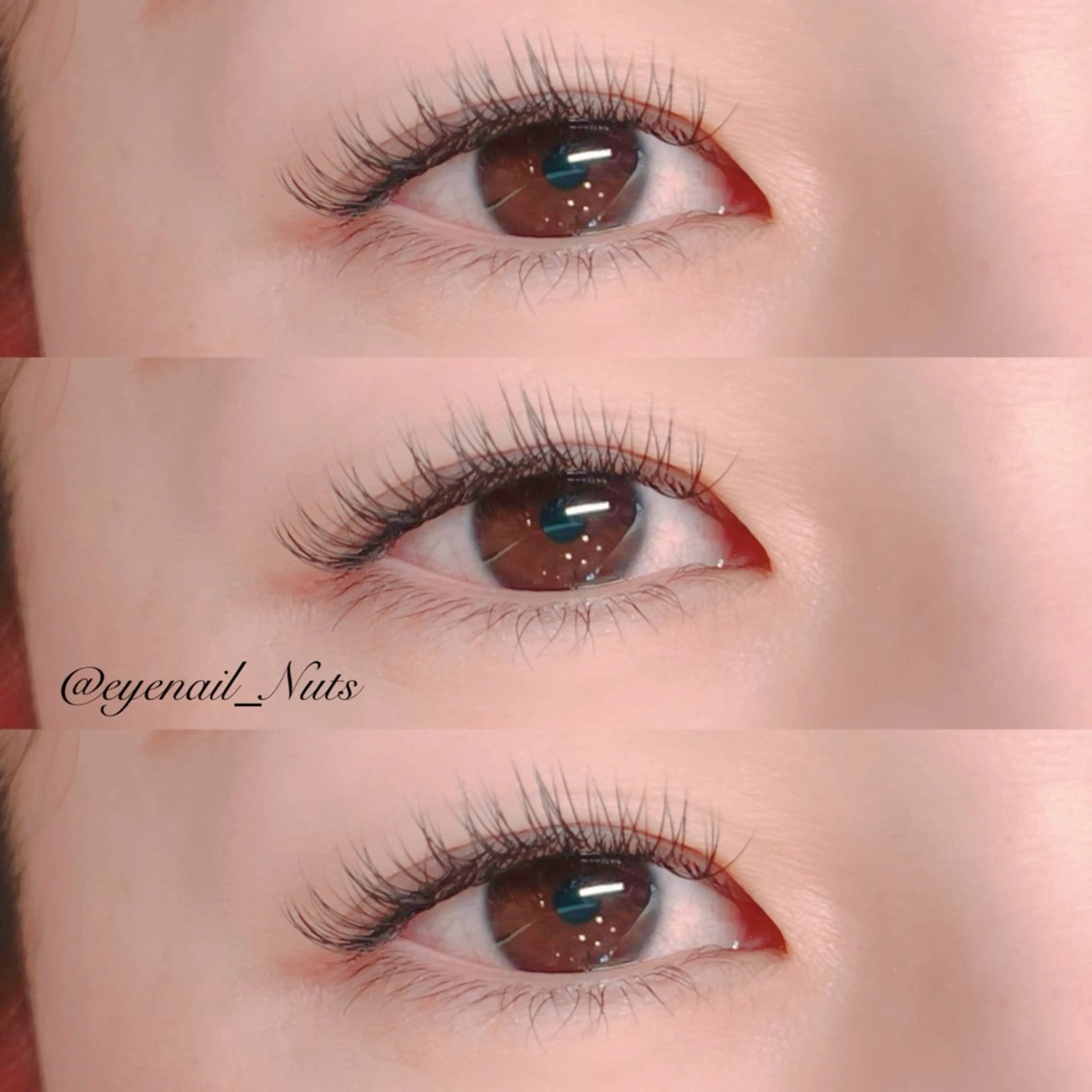 【軽い&モチ◎】軽量フラットラッシュ　100本の写真