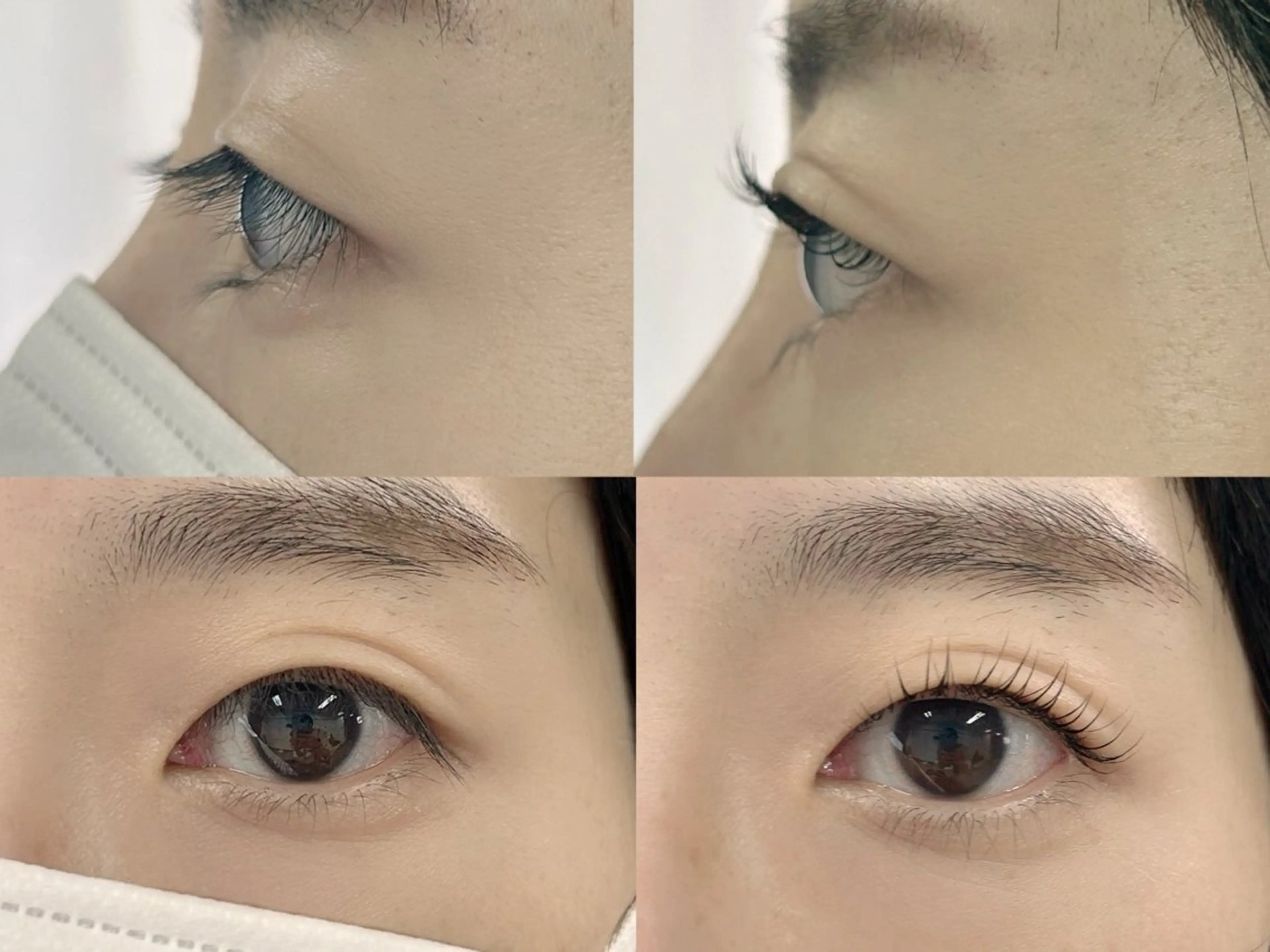 マツエク・マツパ Sein所属・Sein 千代田線 根津駅1分のマツエク・マツパデザイン