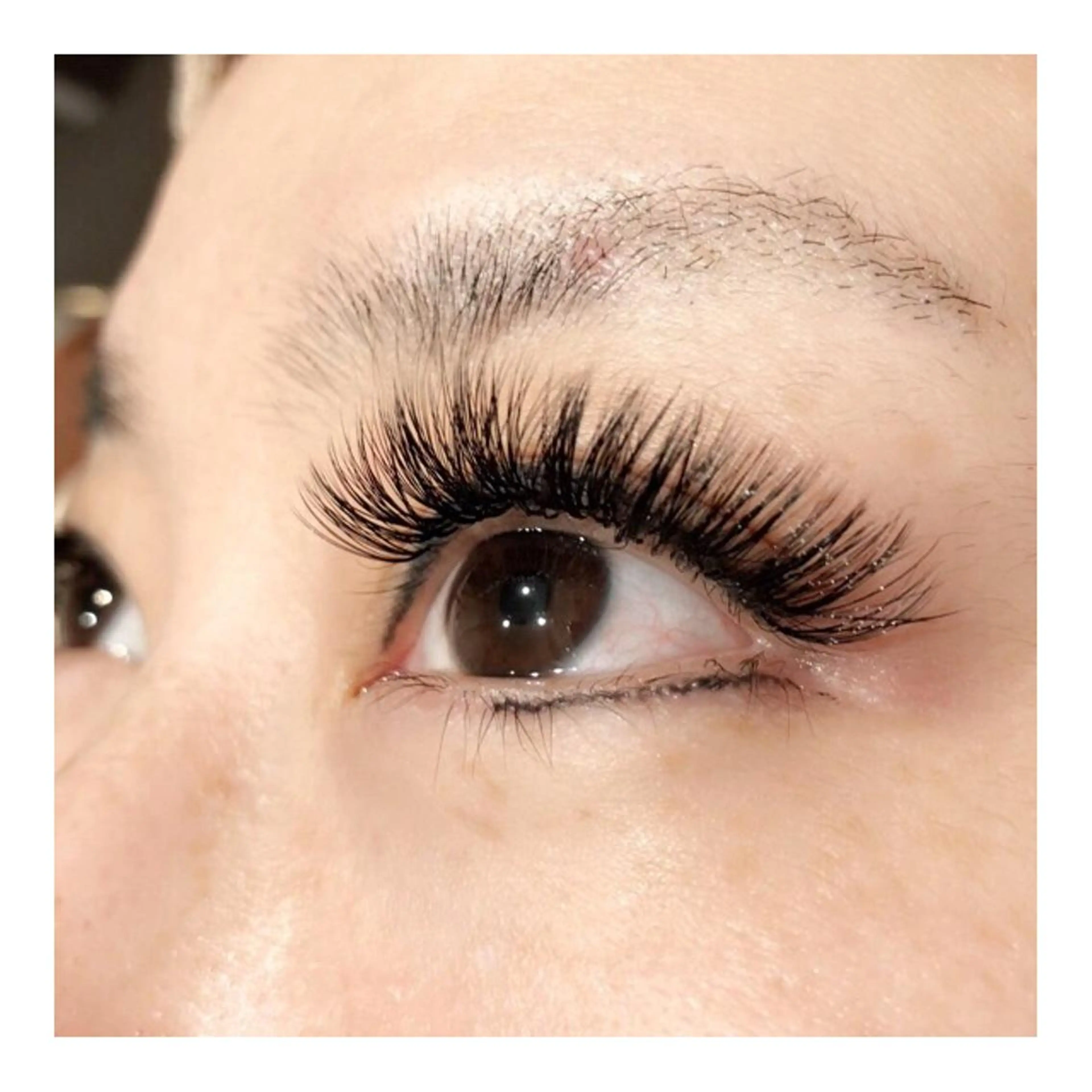 マツエク・マツパ Cカール ボリュームラッシュ LaLa Peach 福岡のマツエク・マツパデザイン