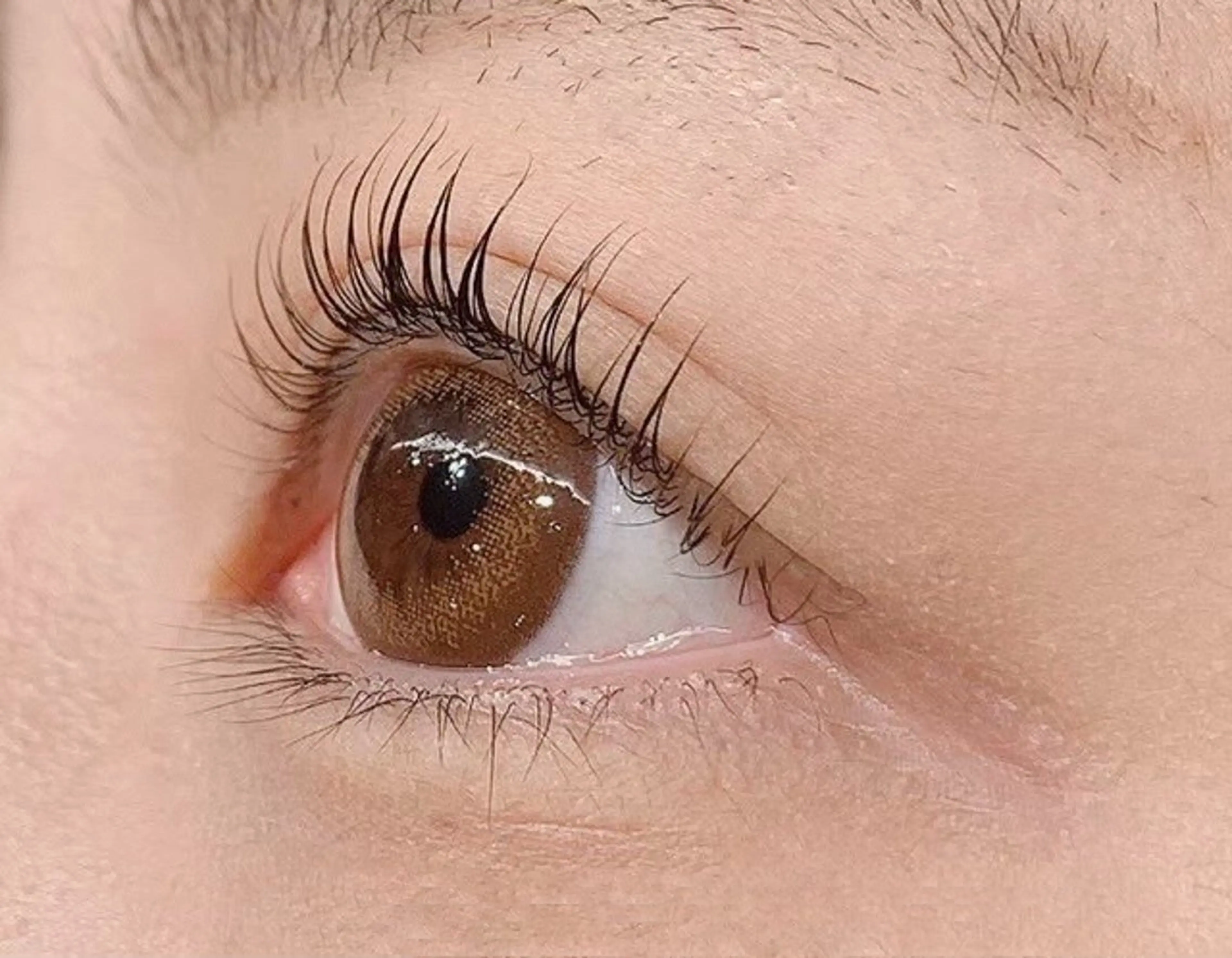 マツエク・マツパ パリジェンヌラッシュリフト 今井 未来音の眉毛・アイブロウイメージ