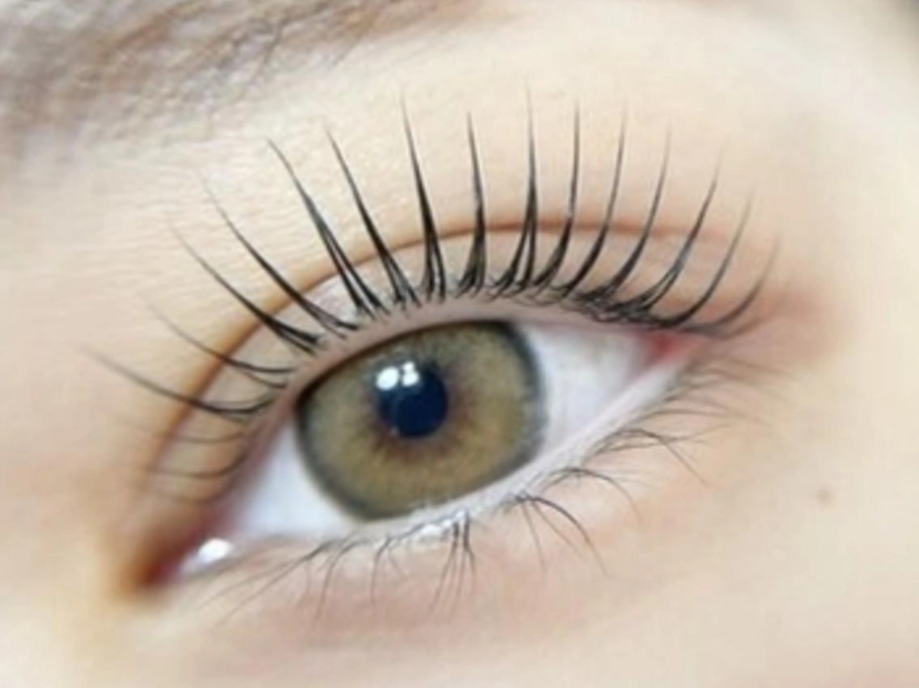 マツエク・マツパ アイブロウ 中野やまとなでしこ AYAの眉毛・アイブロウイメージ