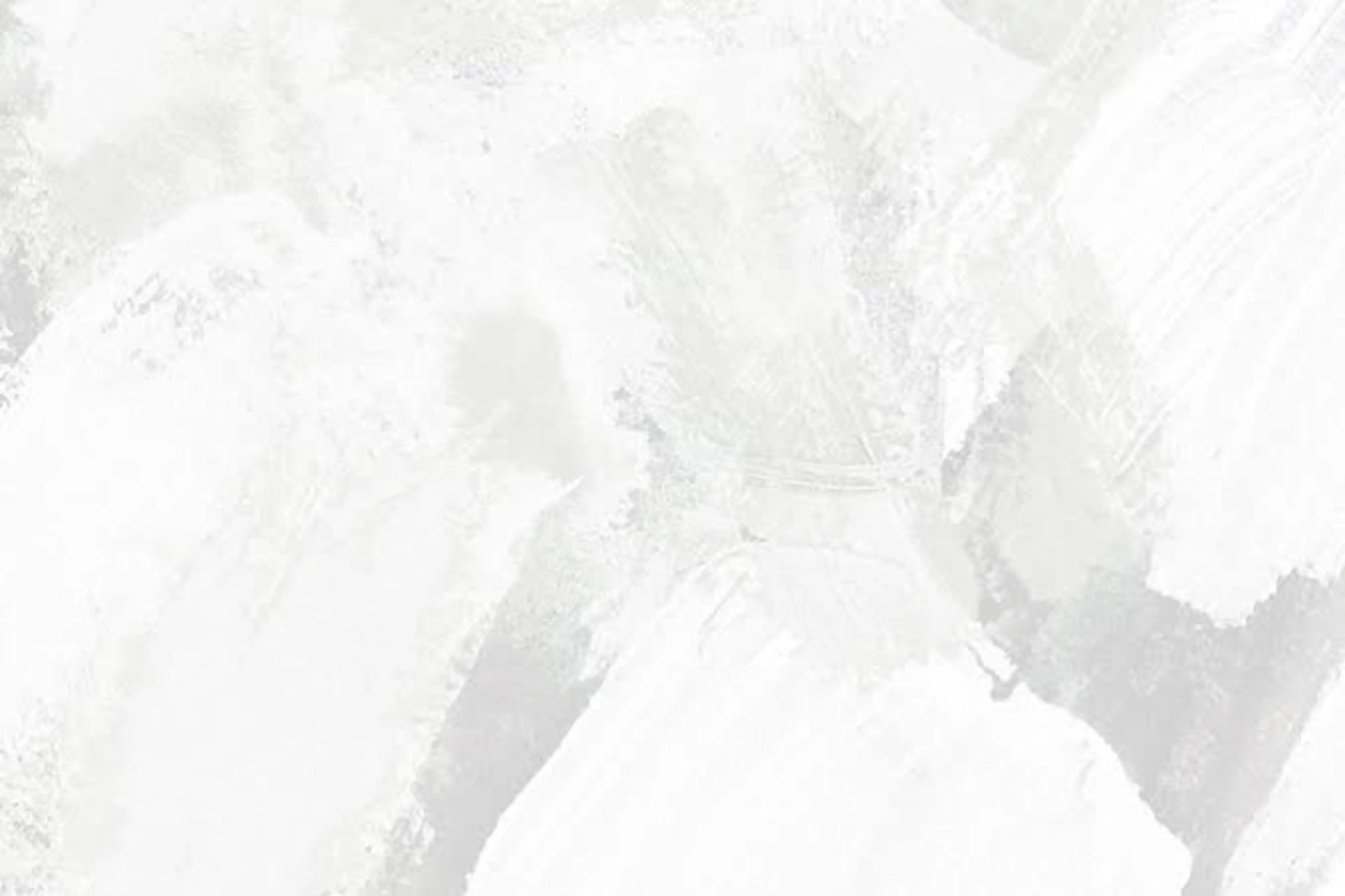 ネイル BIANCA神楽坂店 TSUMITAのネイルデザイン