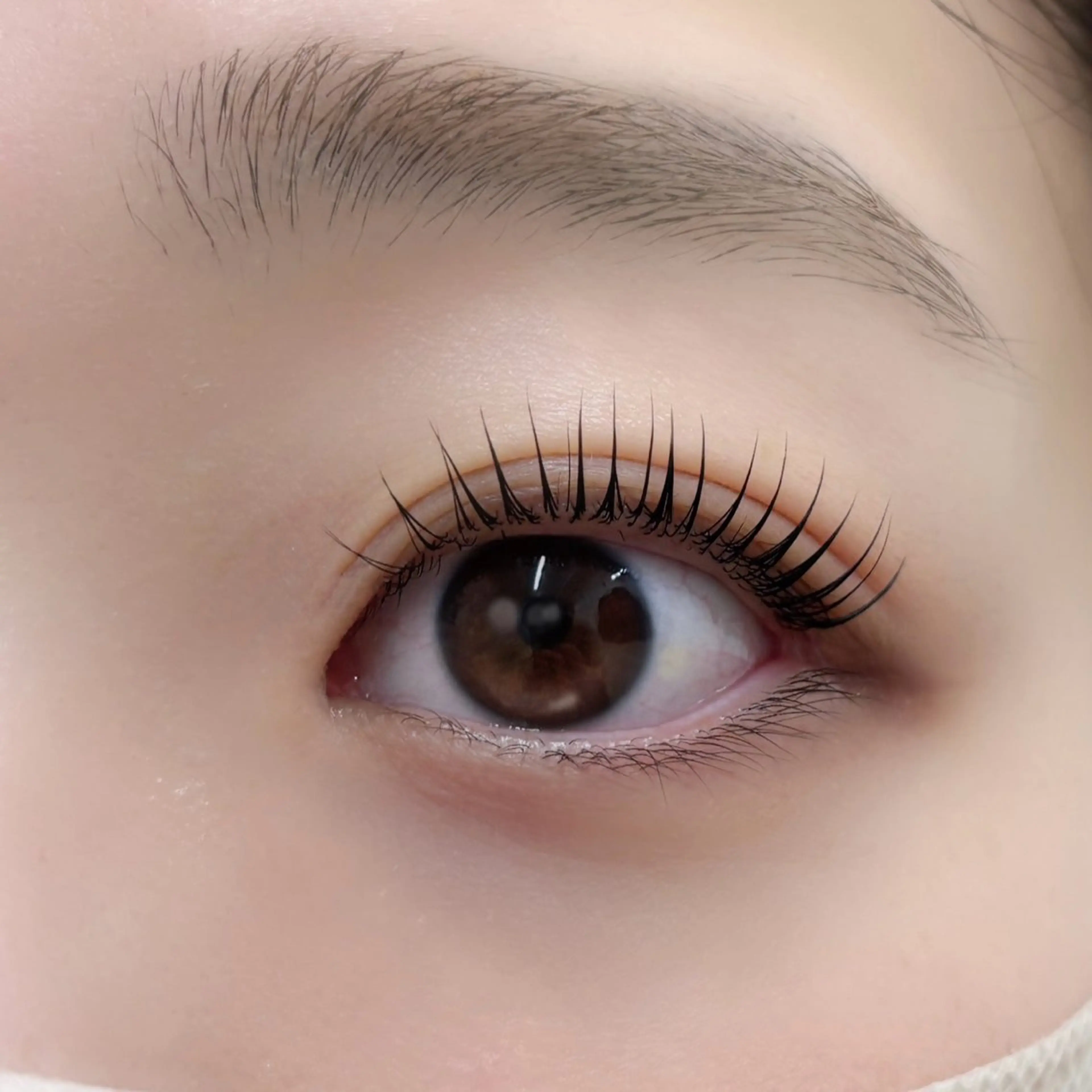 マツエク・マツパ kirin💎LED &healthy🌸のマツエク・マツパデザイン