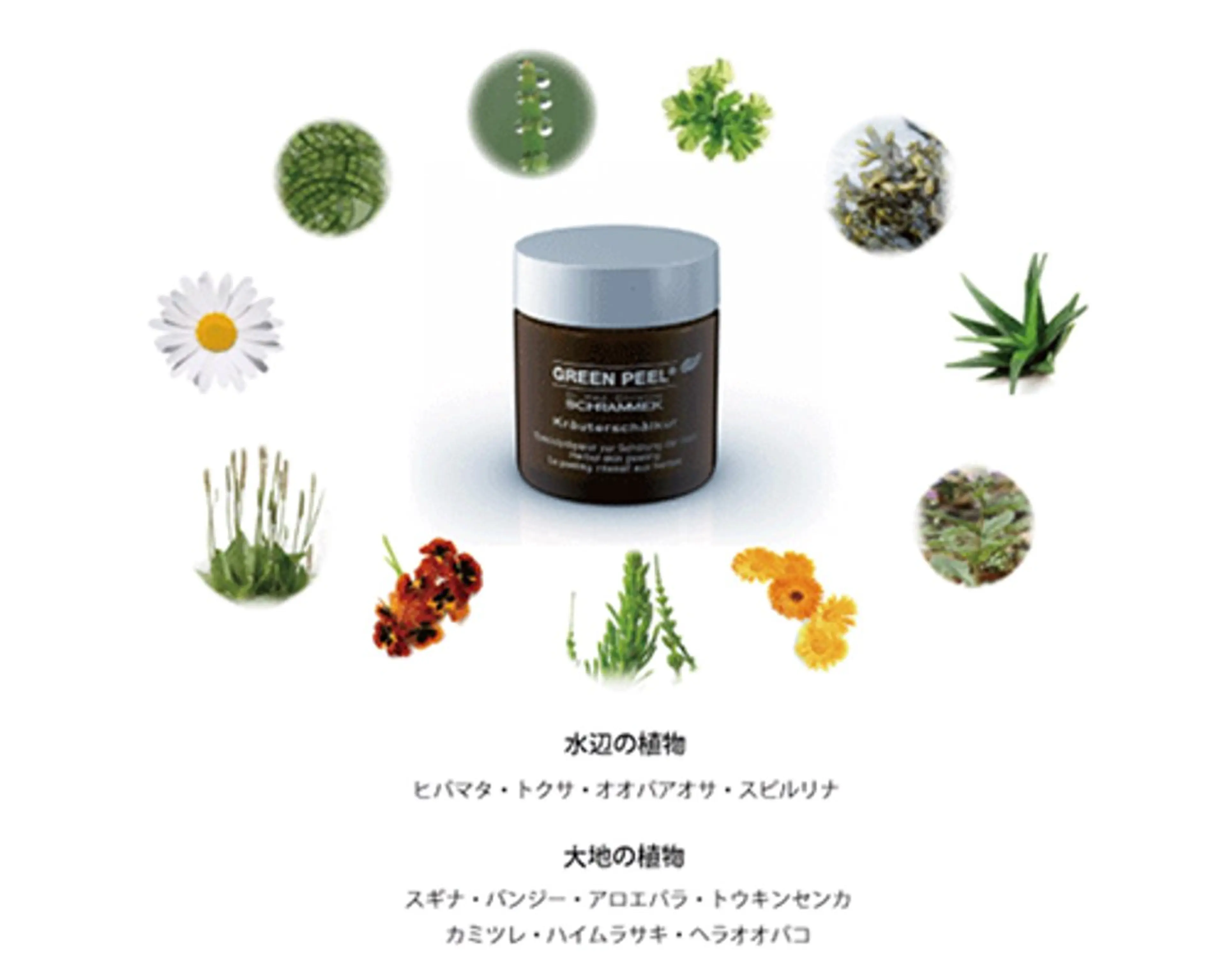 須藤 淑恵のエステ・リラクイメージ