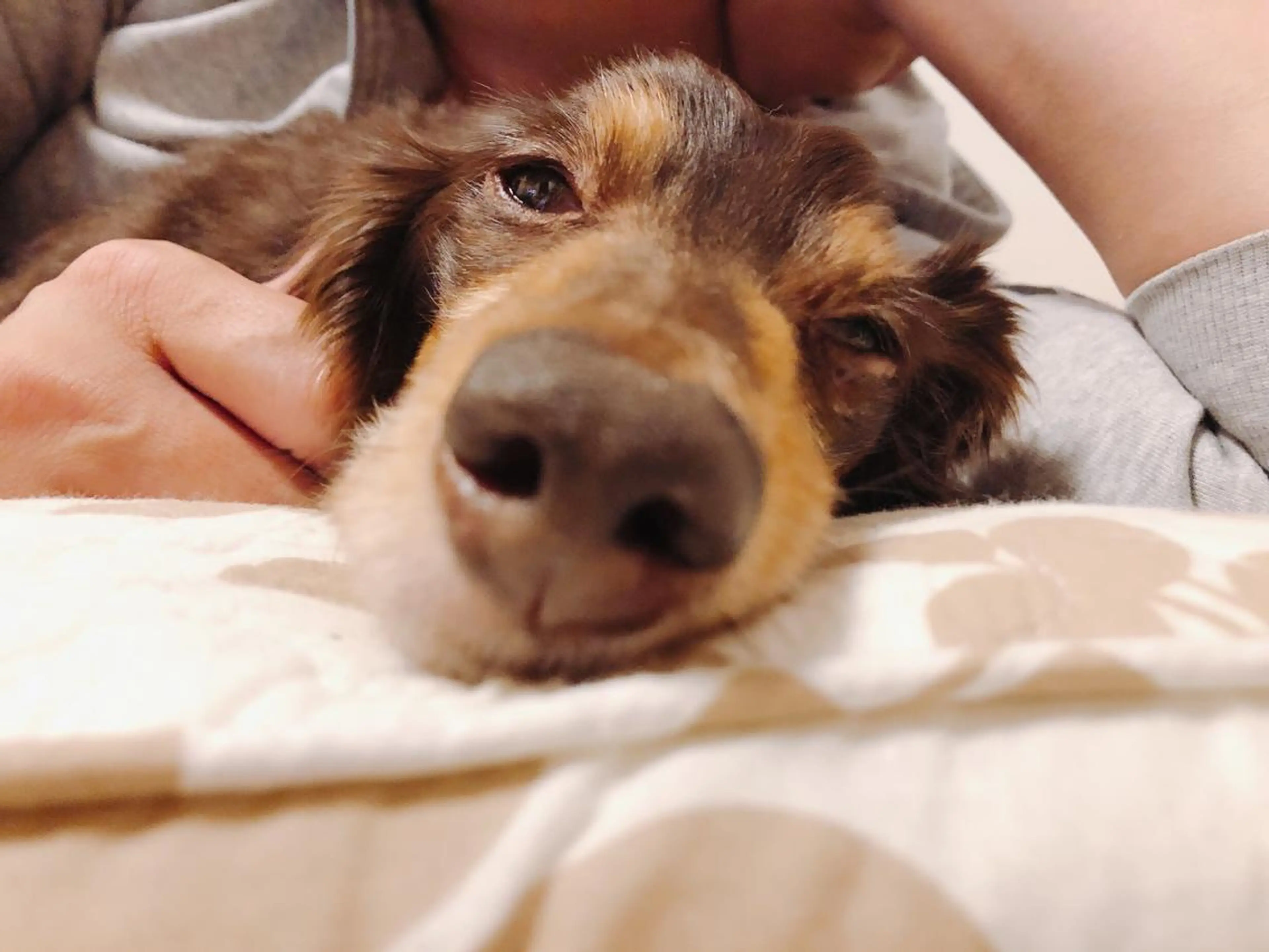 ネイル kiki nail &brow二子玉川の眉毛・アイブロウイメージ