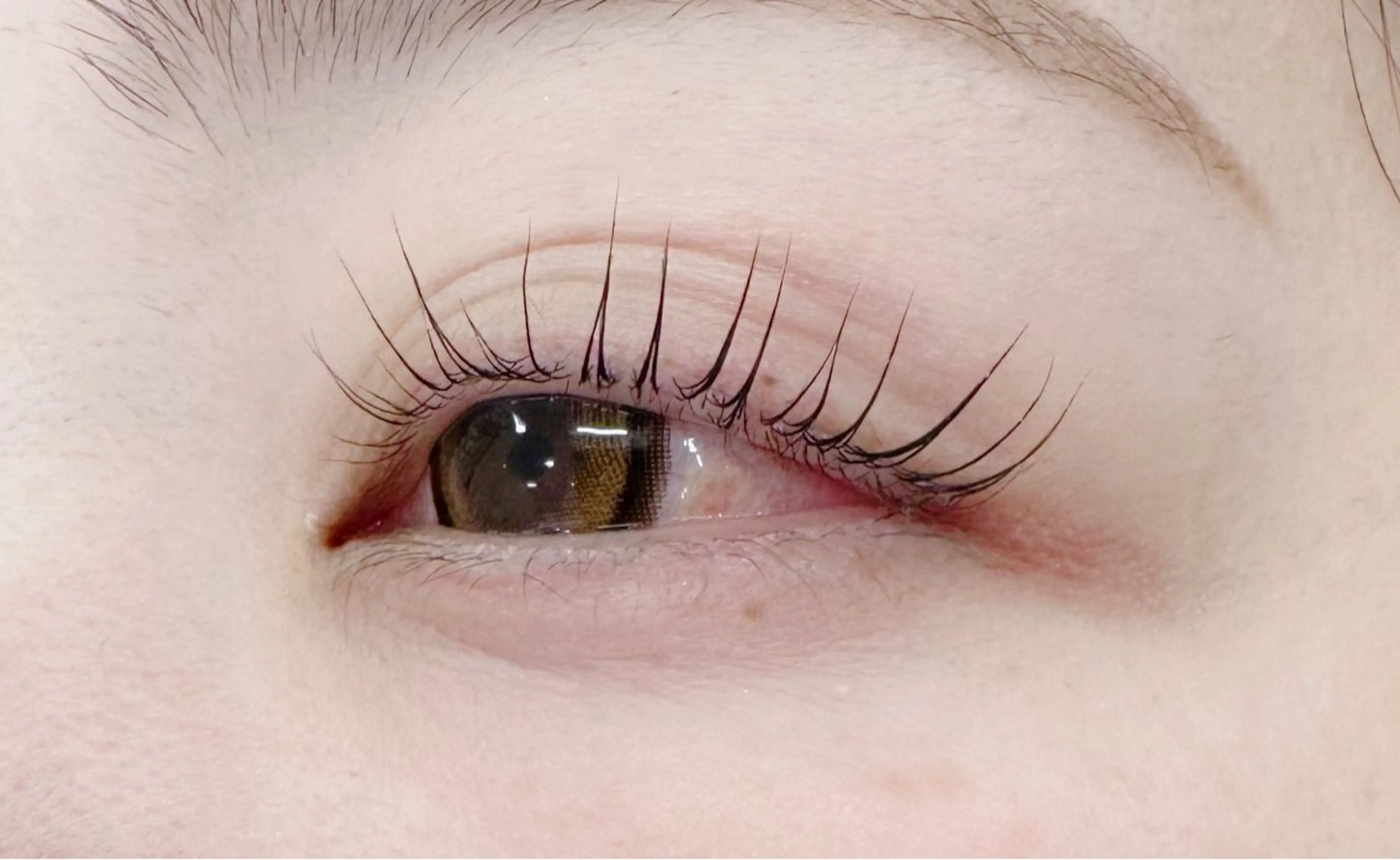 マツエク・マツパ Petila🐈‍⬛ Mayuriのマツエク・マツパデザイン