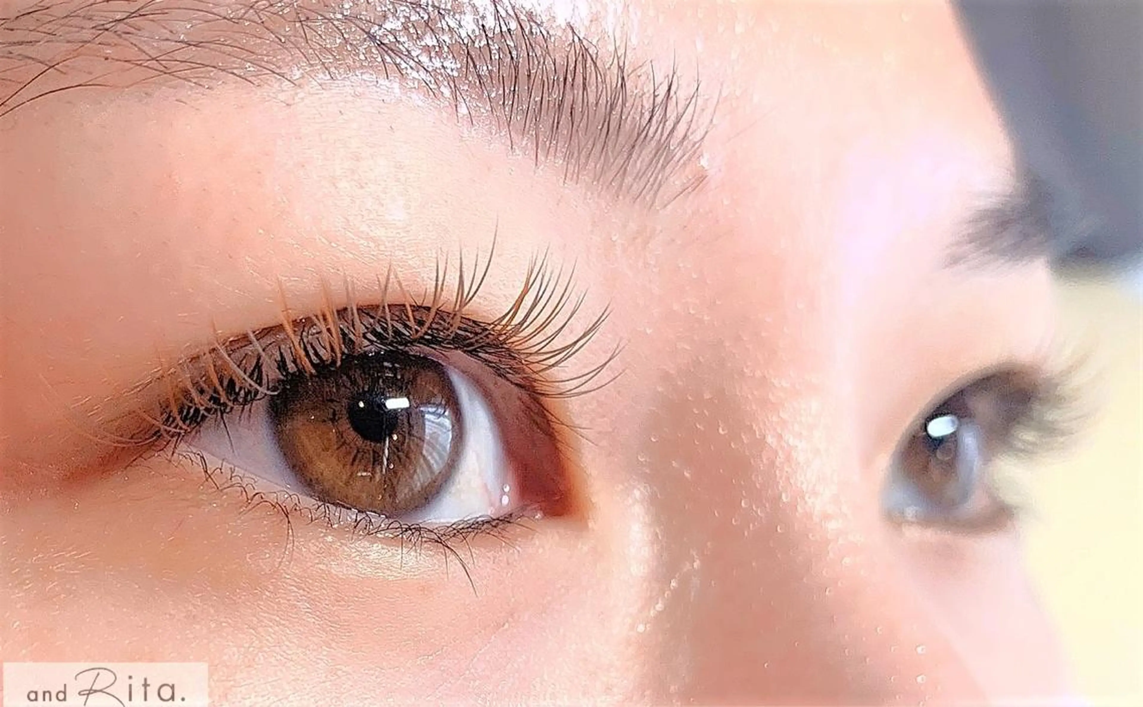 マツエク・マツパ andRita 蒲生店のマツエク・マツパデザイン