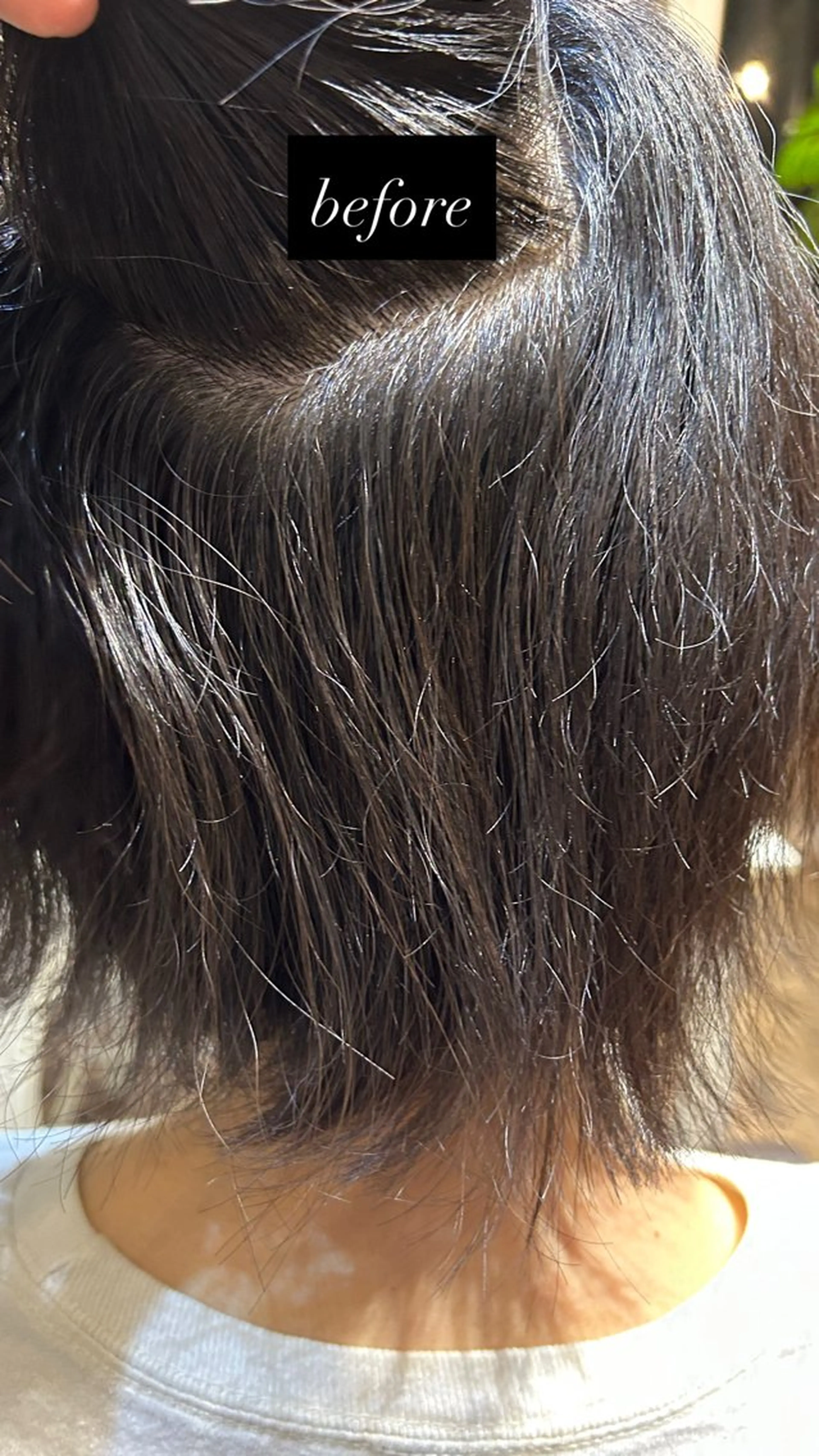 ショート 縮毛矯正 今野 惺虎のヘアスタイル