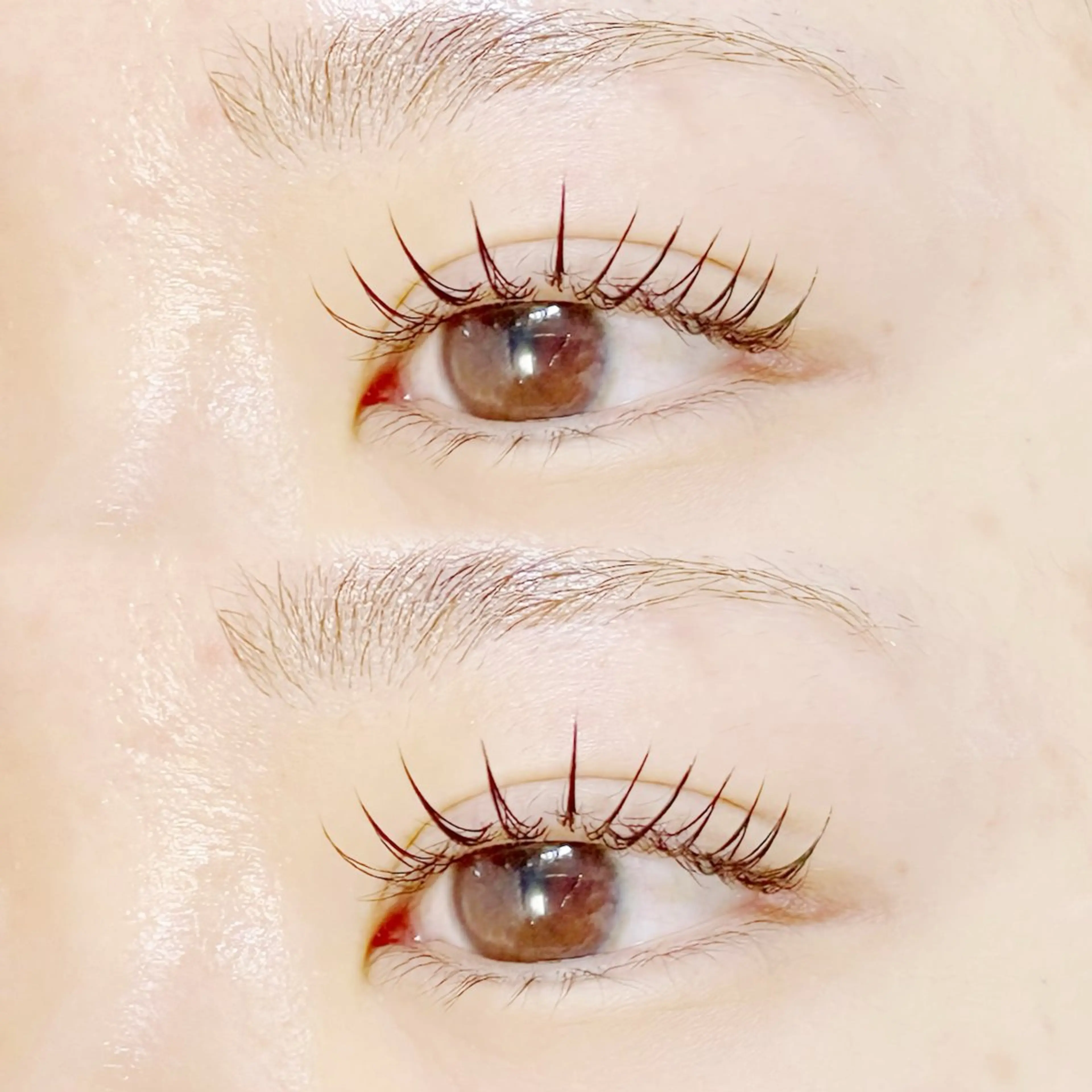マツエク・マツパ マツエク plume eyelashのマツエク・マツパデザイン
