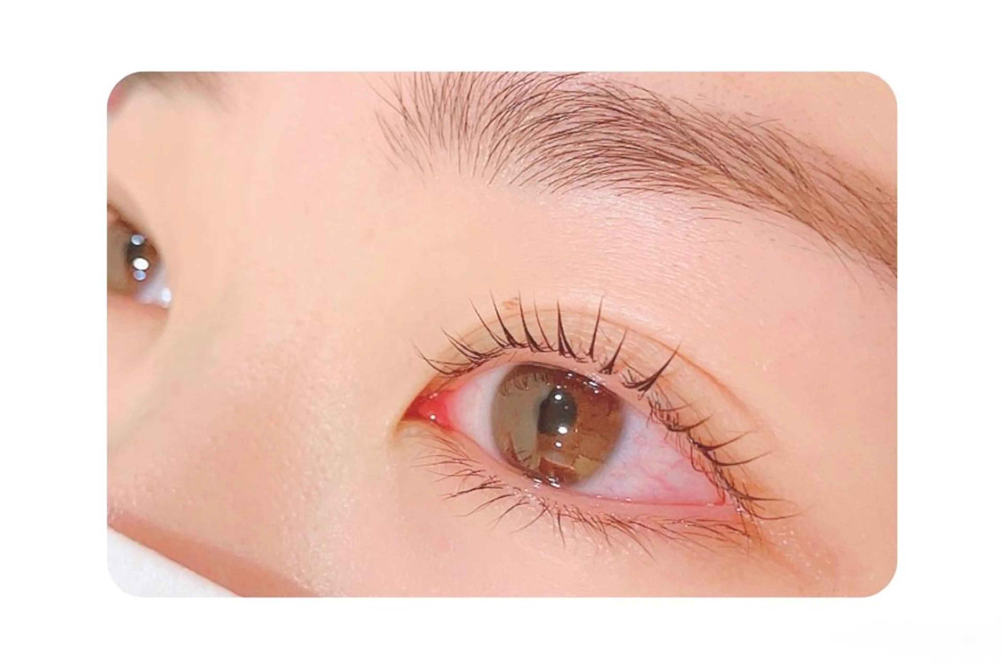 マツエク・マツパ ナチュラル マツパ Gluttony/ ｸﾞﾗﾄﾆｰ＊ユキのマツエク・マツパデザイン