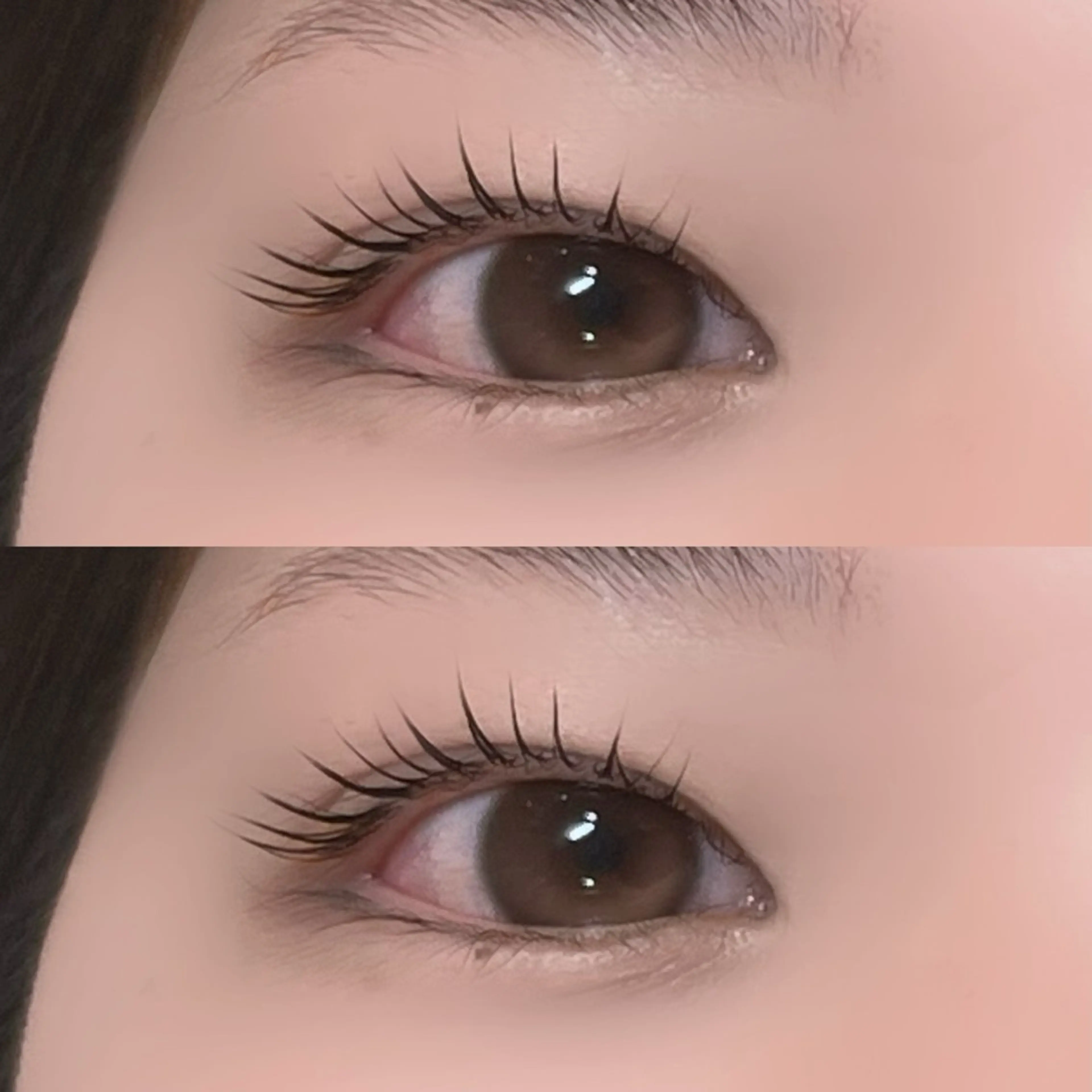 ❤️‍🩹上まつ毛パーマ+コーティング付き🐈‍⬛🐾の写真