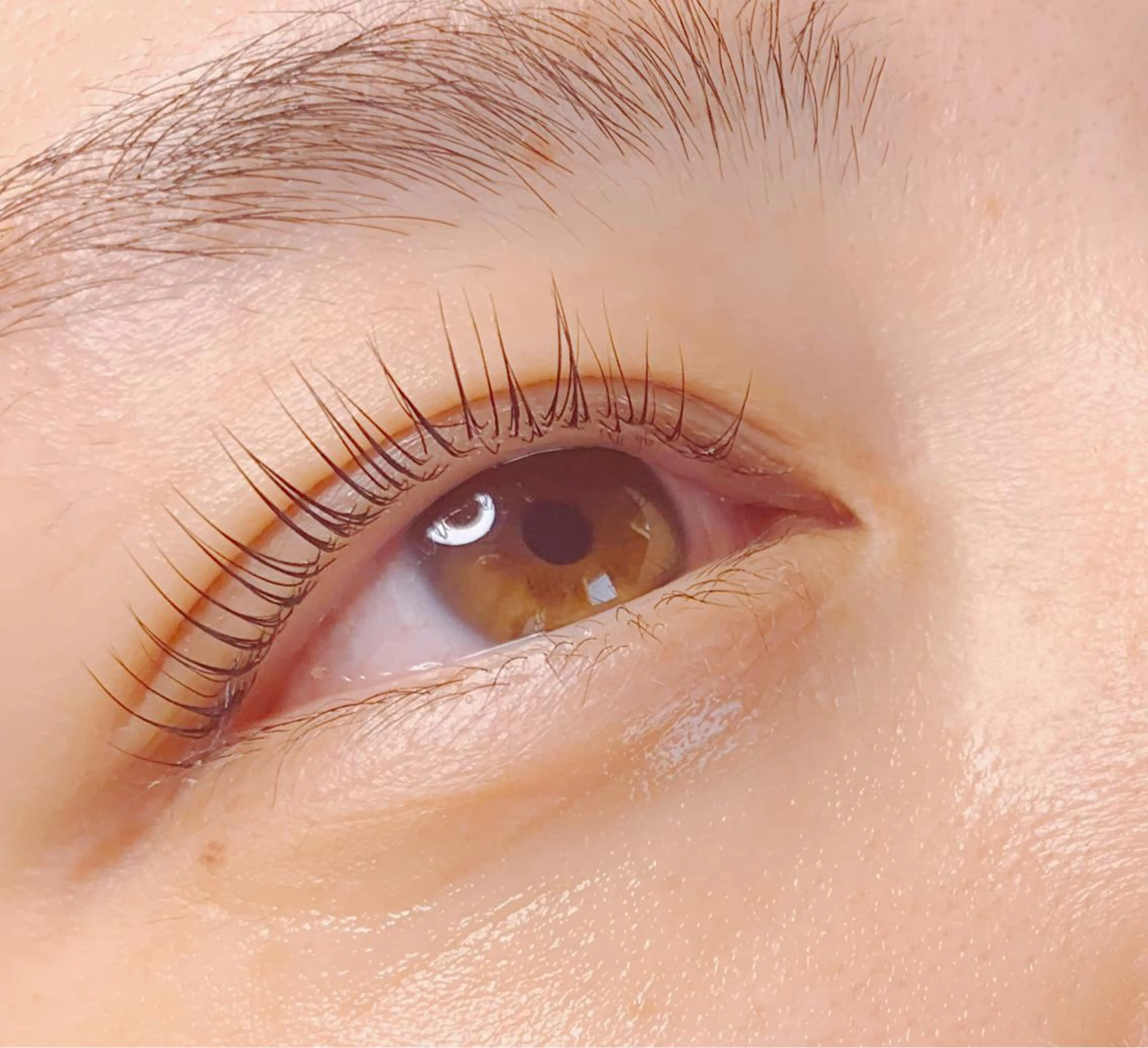 マツエク・マツパ 梅田駅近！半個室 M'sアイブロウの眉毛・アイブロウイメージ