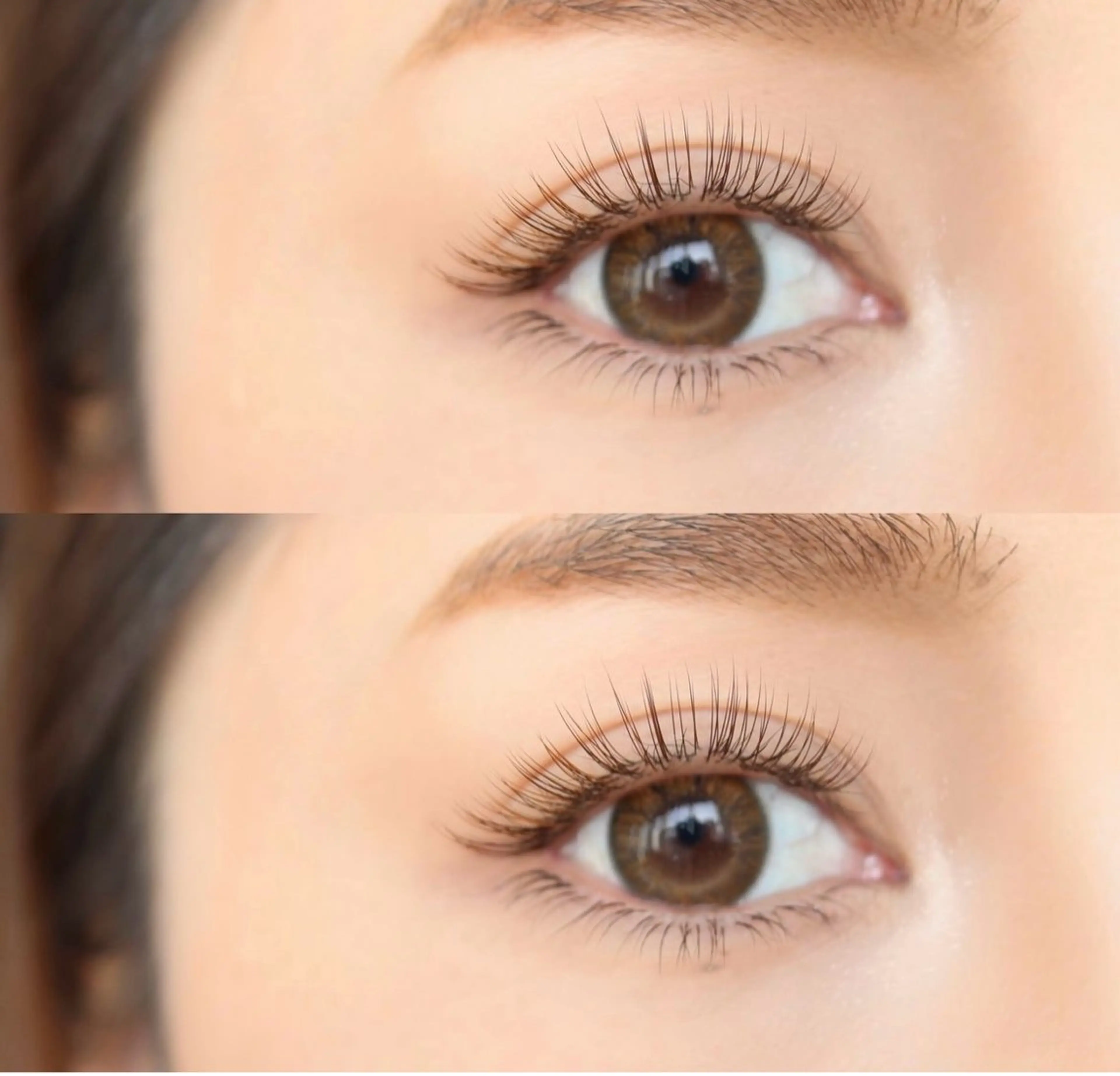 【新規様限定🌼*･】フラットラッシュ120本⸜🌷︎⸝束感お仕上げ🎀の写真