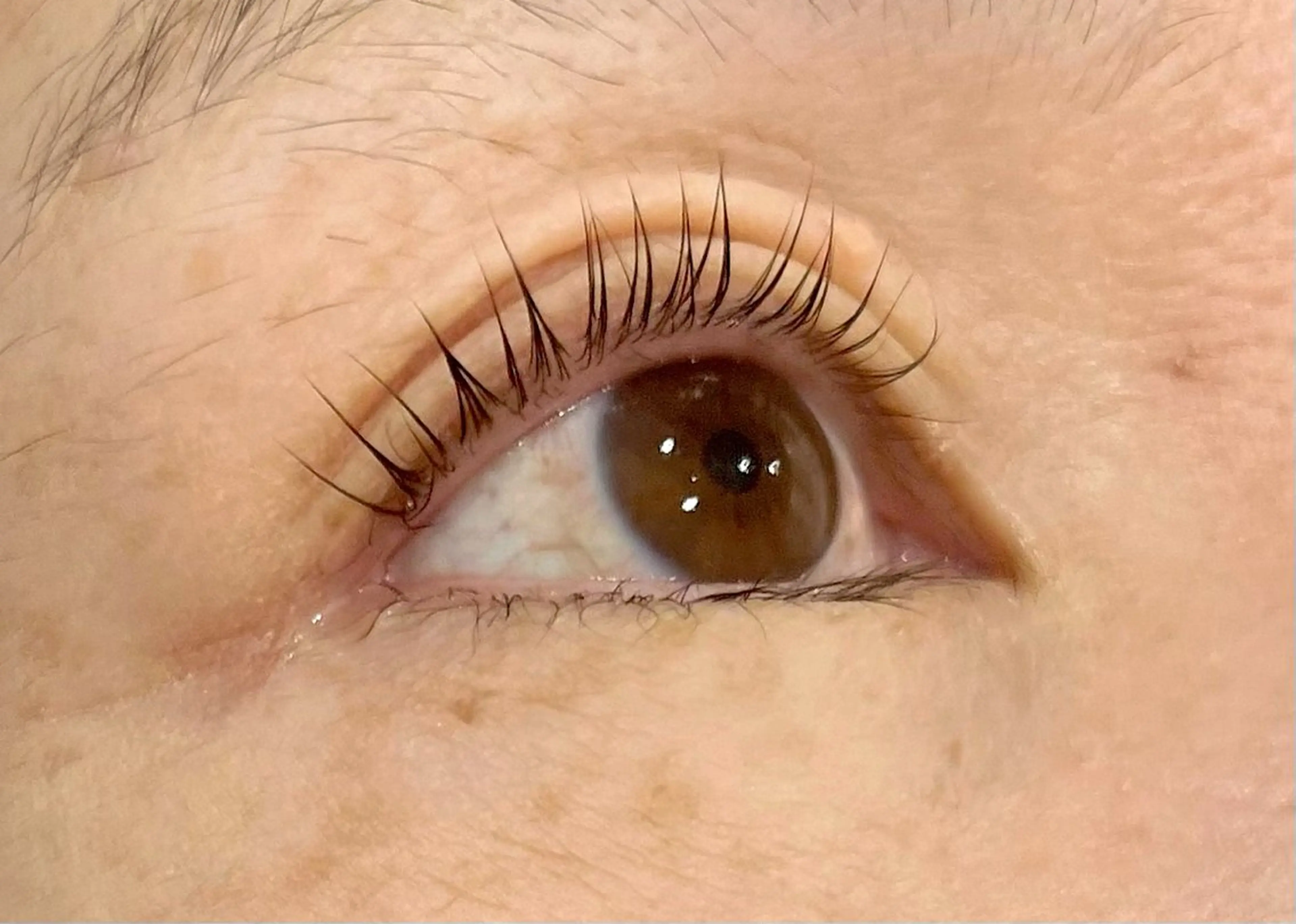 マツエク・マツパ マツパ epill Lenna .🦋のマツエク・マツパデザイン