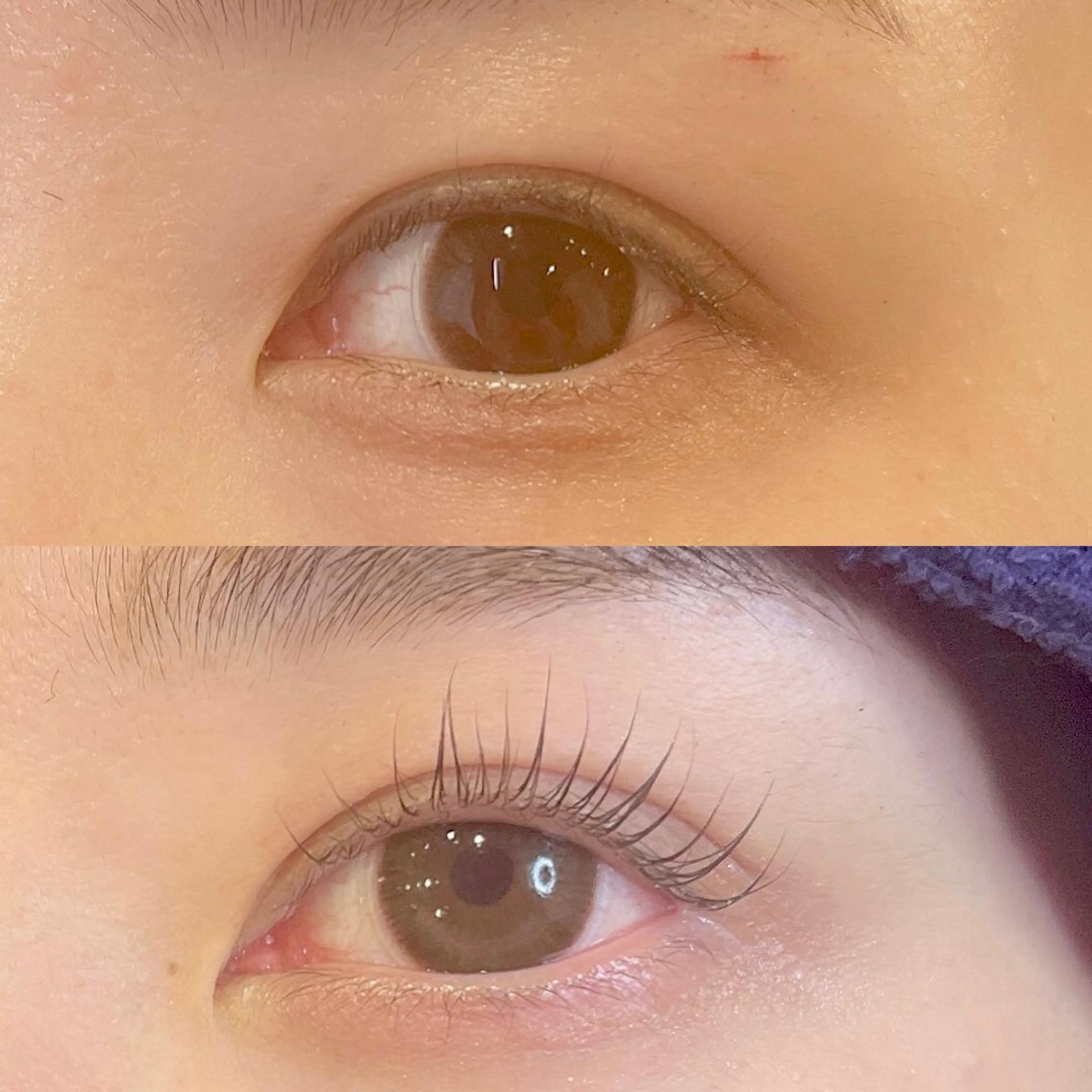 パーマ マツエク・マツパ アイブロウ 一重×まつ毛パーマ LELEGANCE eyelashのマツエク・マツパデザイン