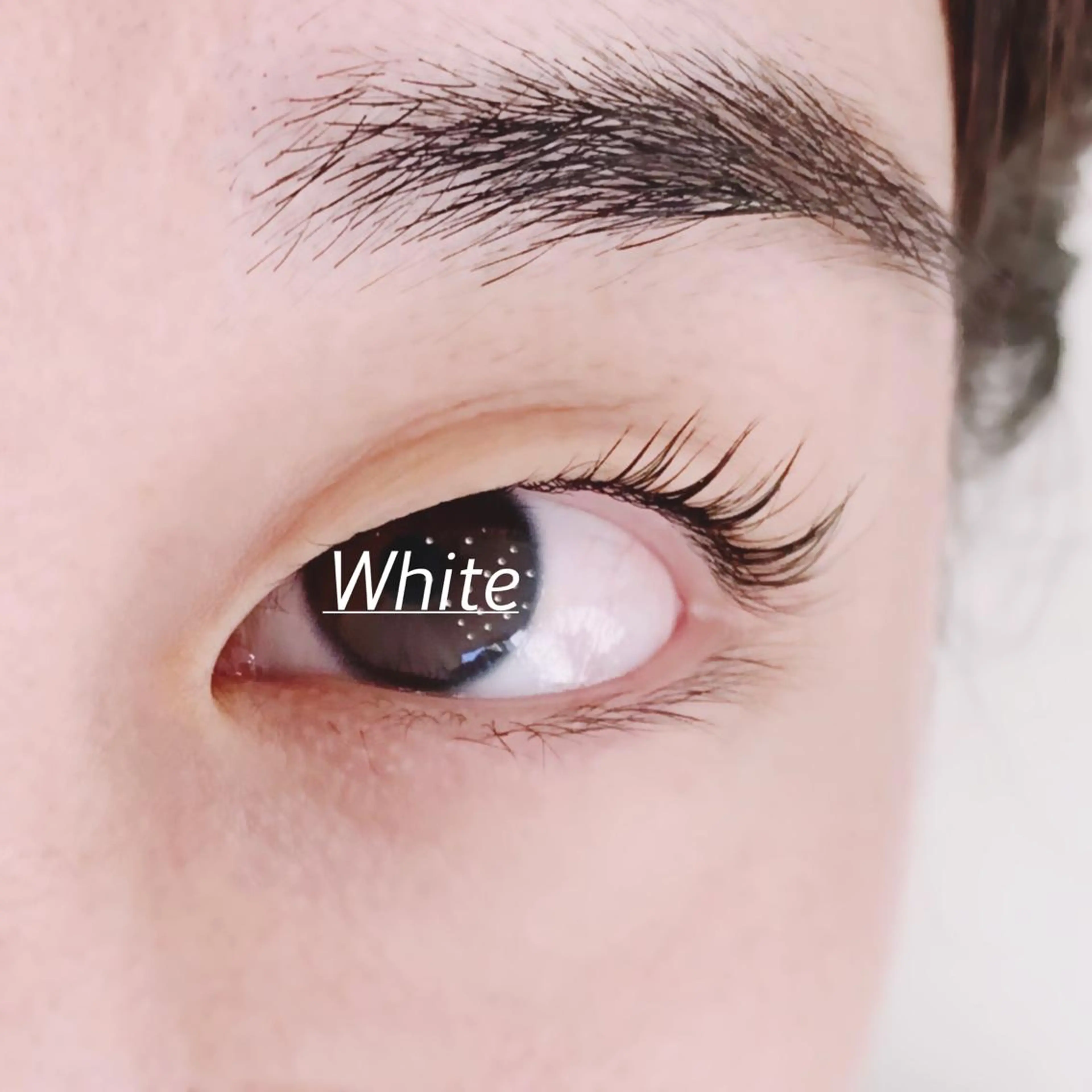 マツエク・マツパ ホワイトアイ HIKARUの眉毛・アイブロウイメージ