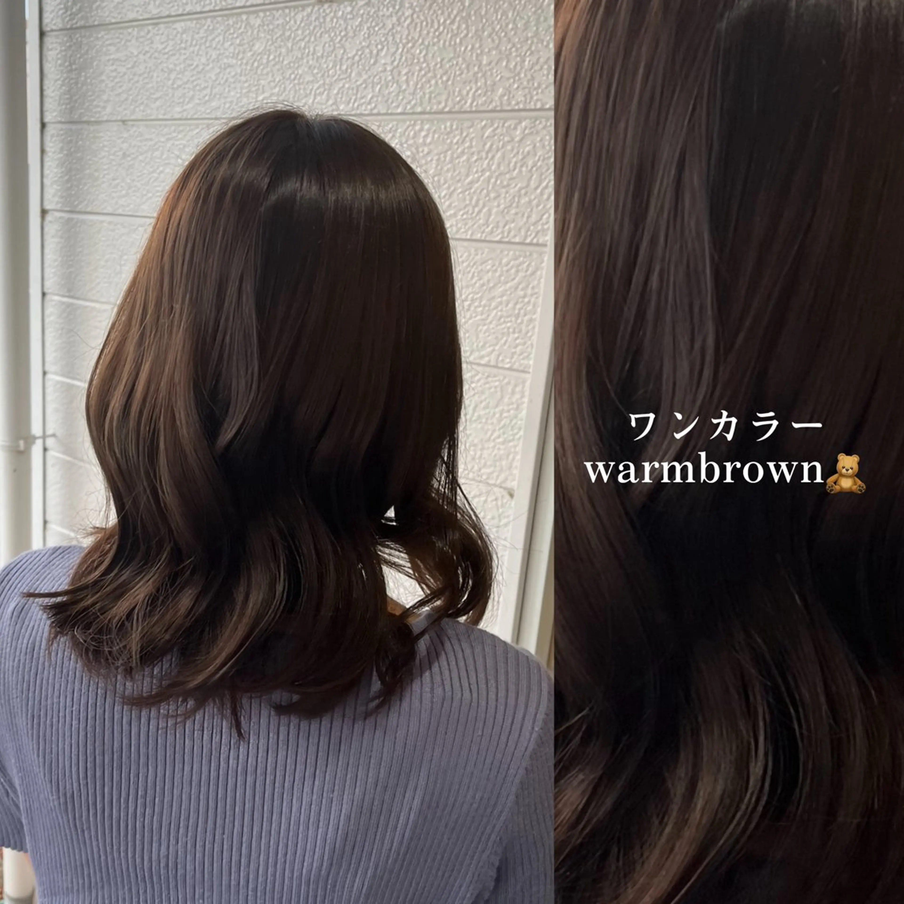 【新規様】ワンカラー🥣🐾《minimo限定価格‼️》の写真