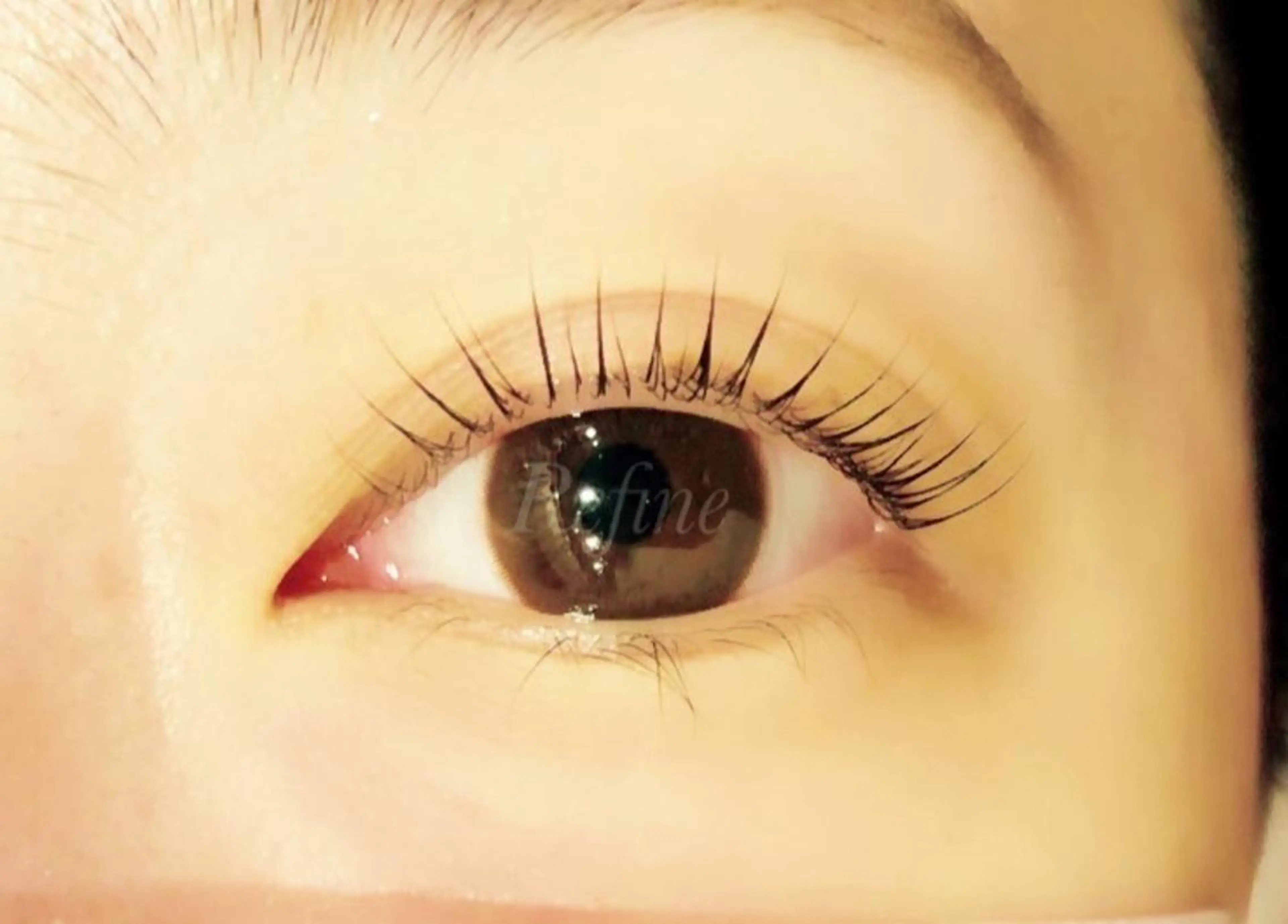 マツエク・マツパ マツパ 【Refine】 磯部のマツエク・マツパデザイン