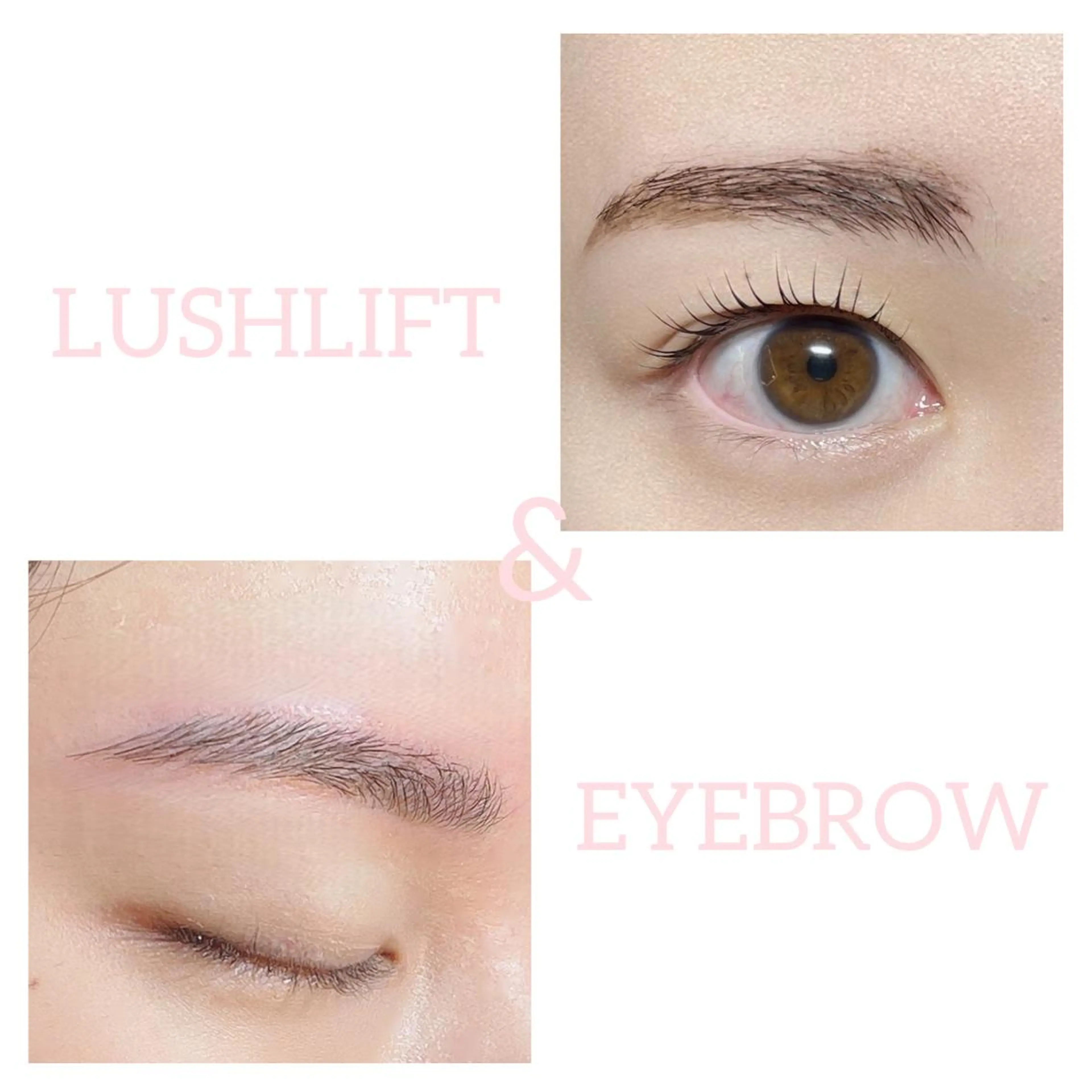 今だけ！【ミニモ限定】まつ毛パーマ+アイブロウ¥10,800→¥7,000   🌸所要時間1時間45分🌸の写真