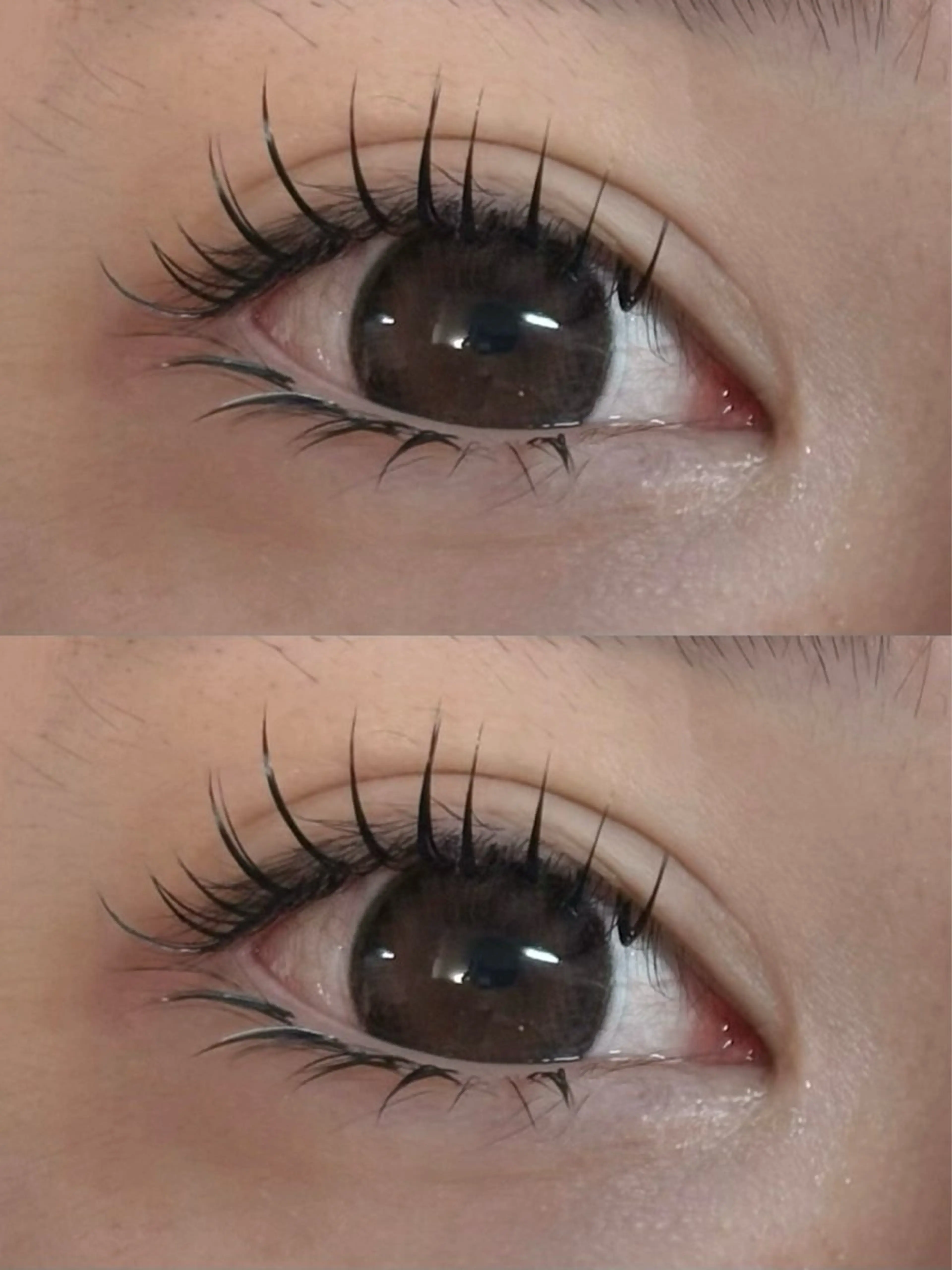 マツエク・マツパ まつげパーマ専門店 FOIのマツエク・マツパデザイン