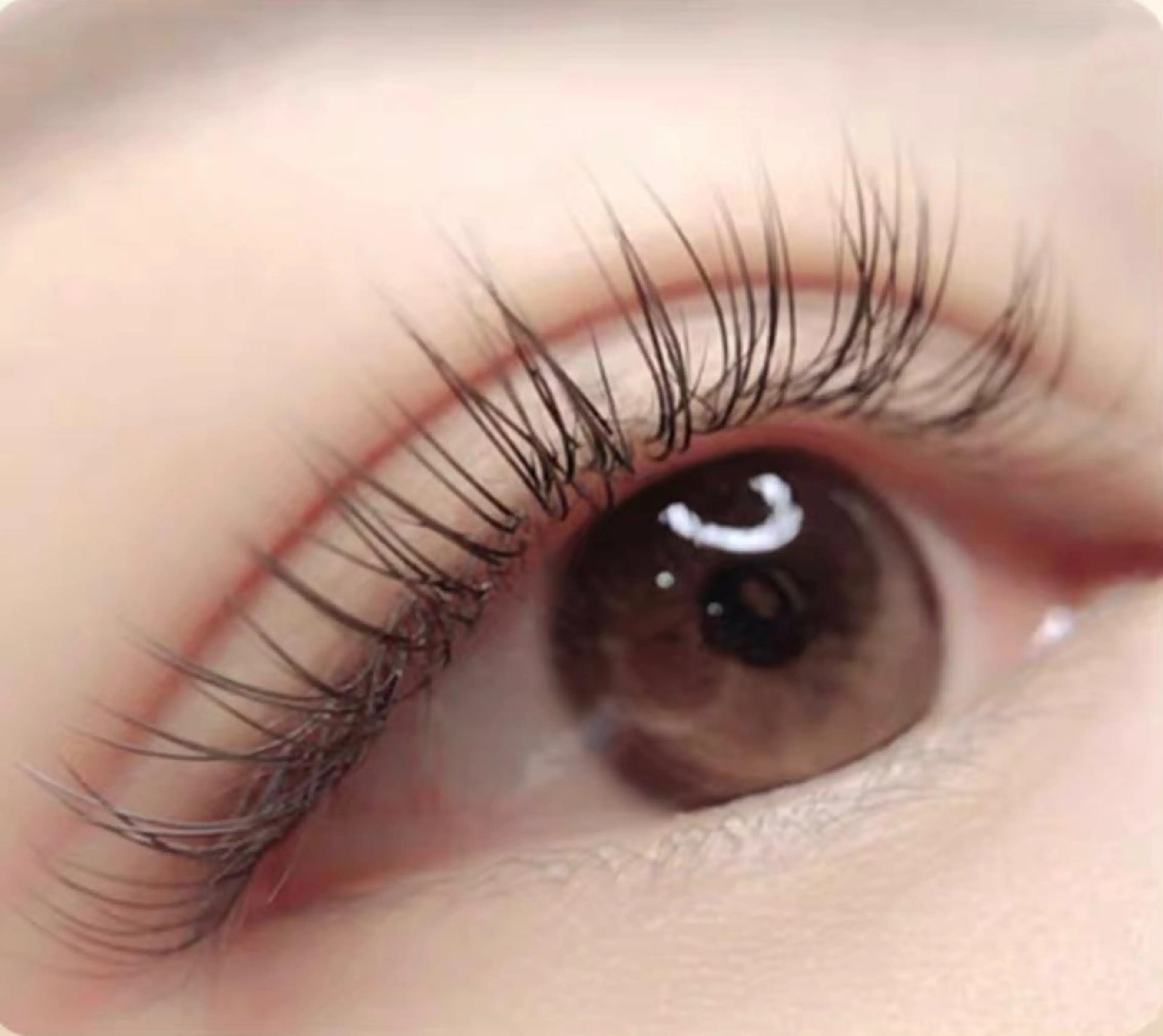 マツエク・マツパ Lemon 小岩店のマツエク・マツパデザイン