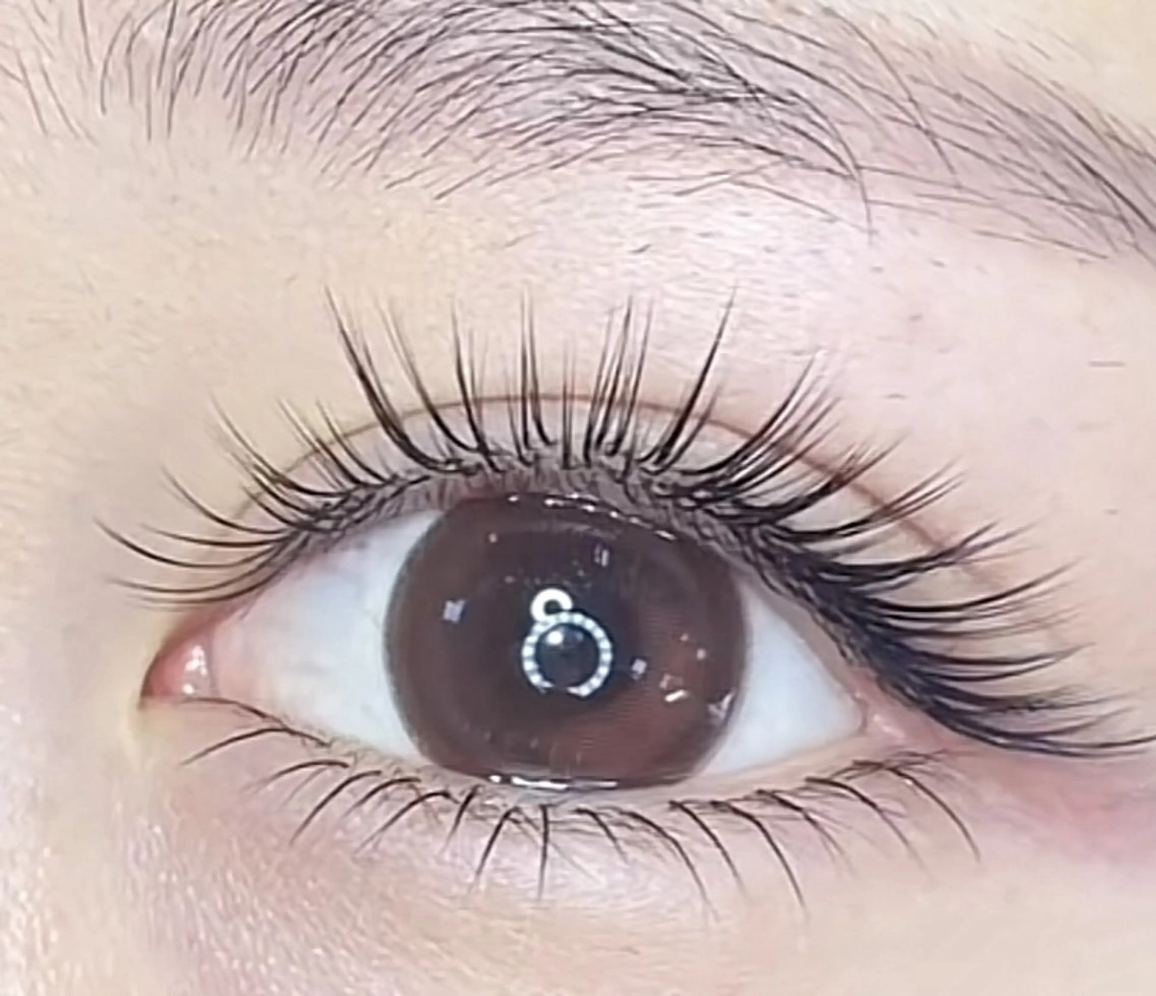 パリエク🍡パリジェンヌ（上まつ毛）+ 3Dボリュームラッシュ240本🧚‍♂️の写真