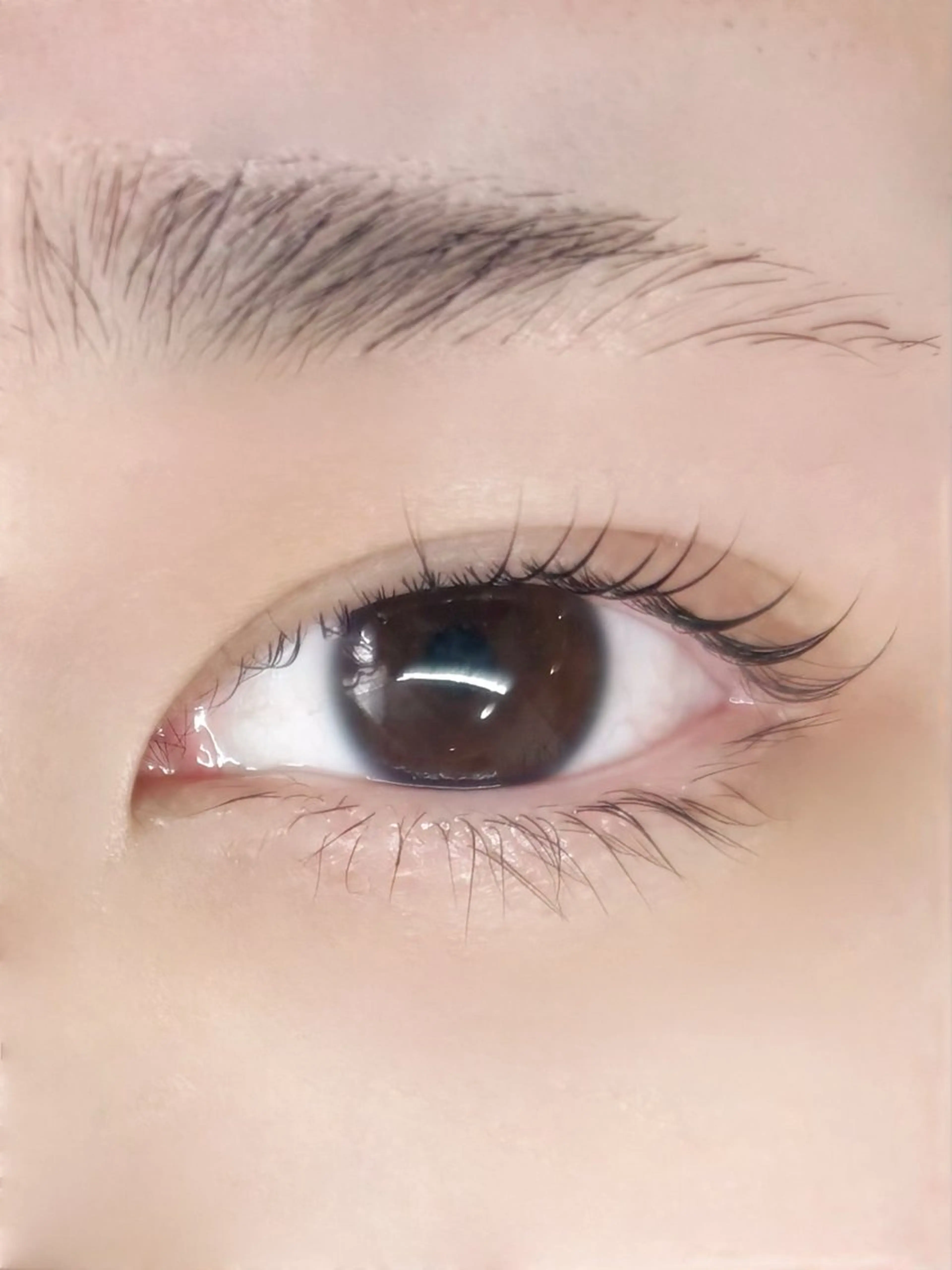 マツエク・マツパ 【SIRIUS】 ☆yurikoのマツエク・マツパデザイン