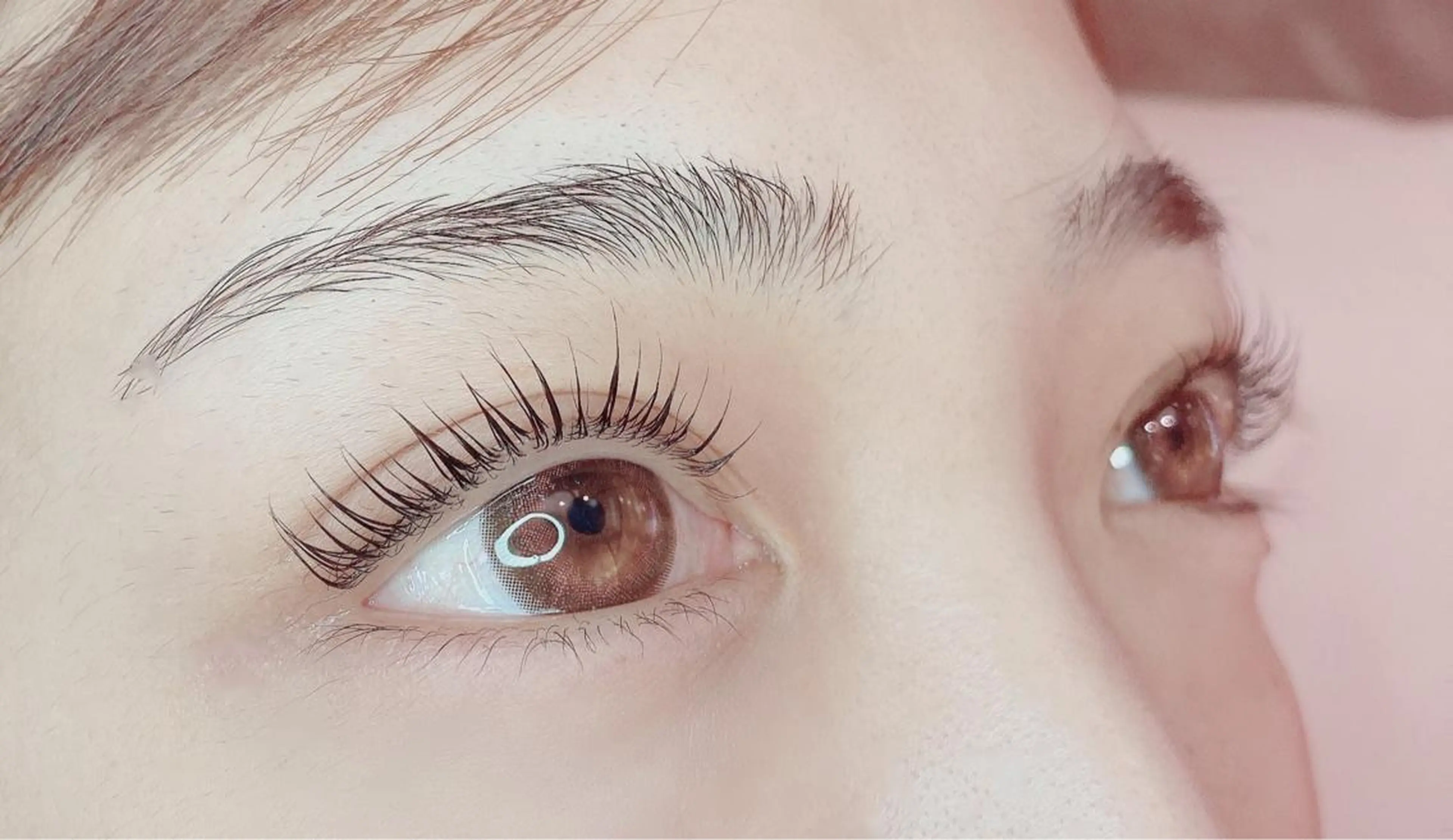 マツエク・マツパ TIARA池袋西口店 店長YASUKA💐のマツエク・マツパデザイン