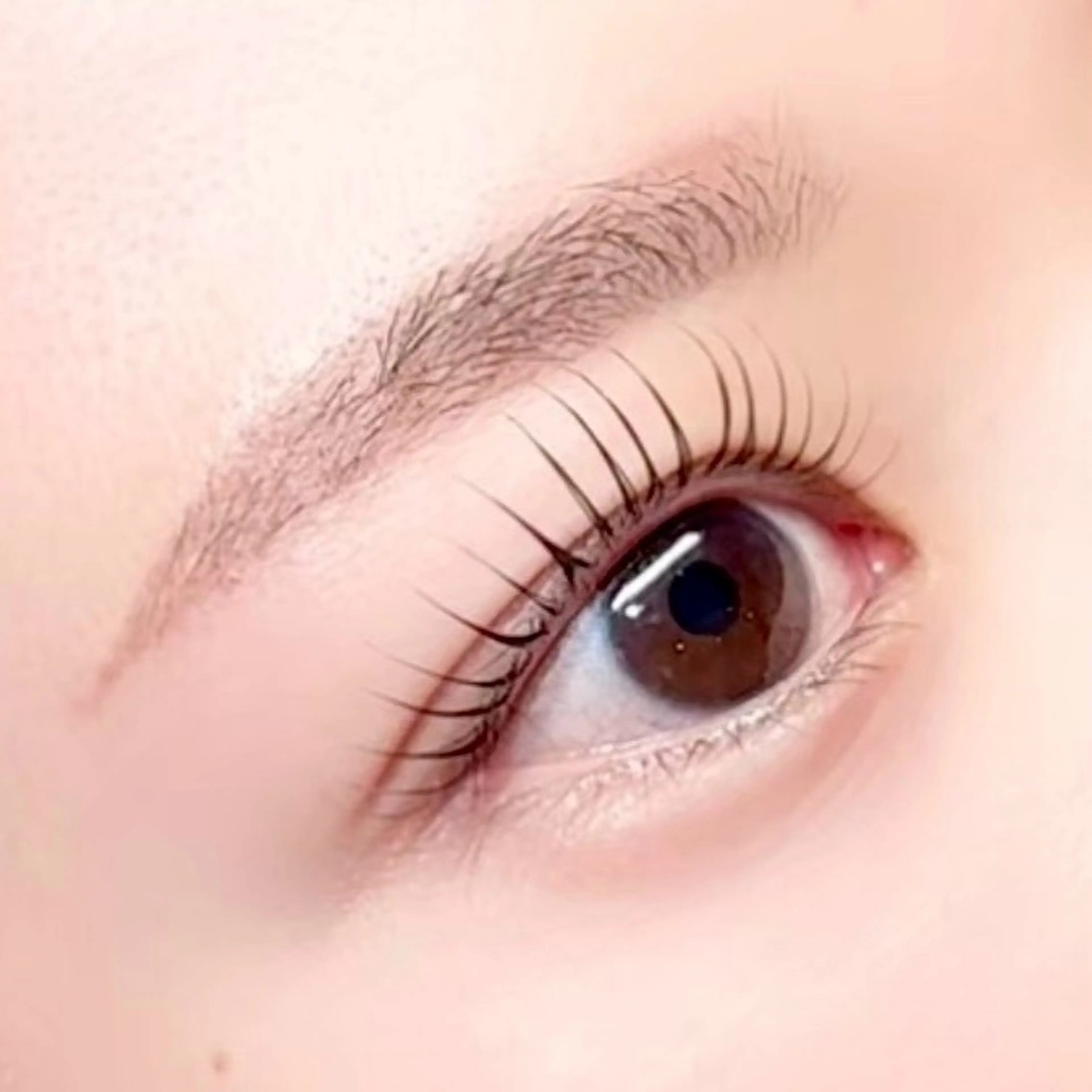 パーマ マツパ Rashic Lily （ラシックリリー）-eyebrow&eyelash-所属・𝐑𝐈𝐍  ❥ 凛‪のマツエク・マツパデザイン