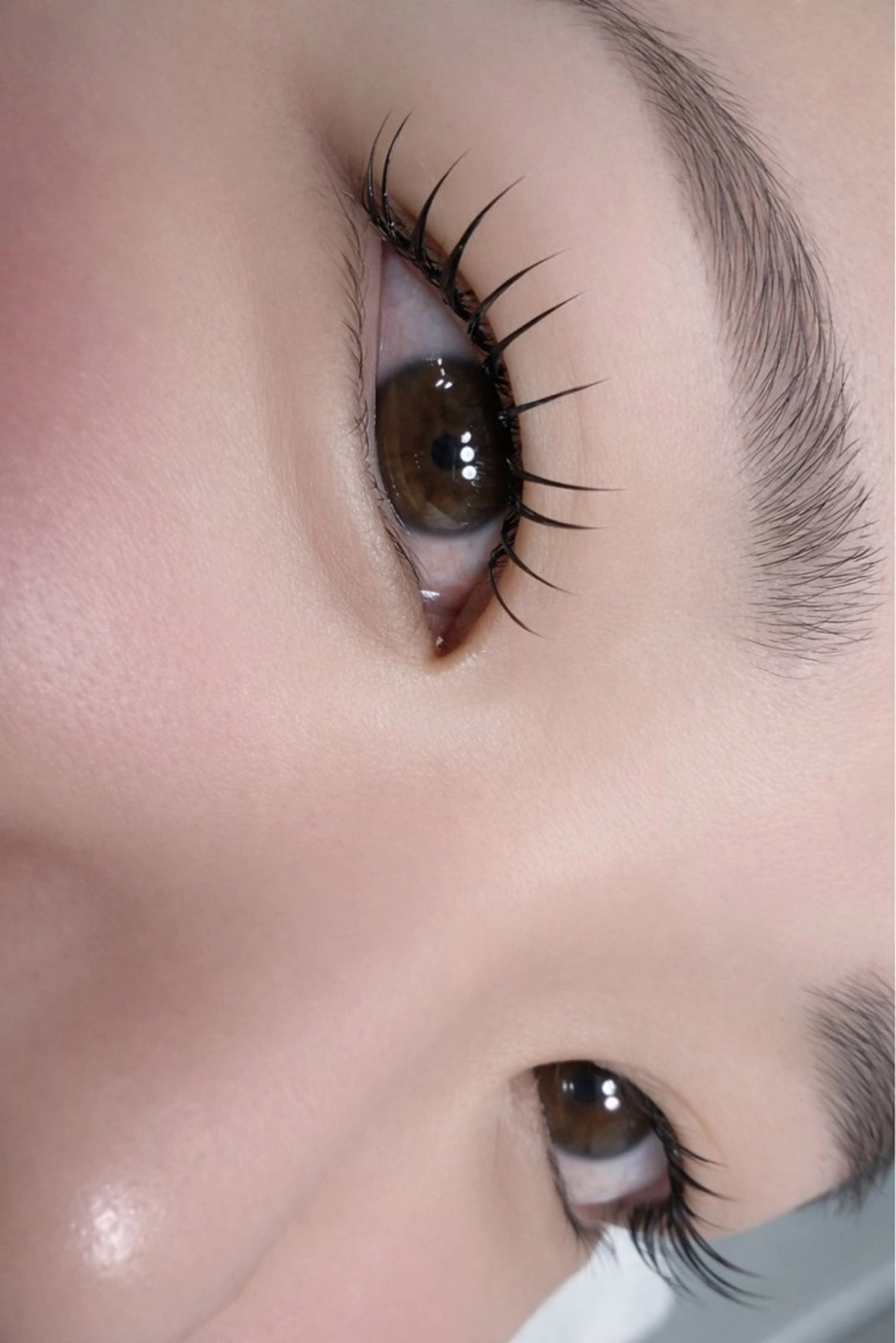 【まつげパーマ】ラッシュリフト上(トリートメント付き)の写真