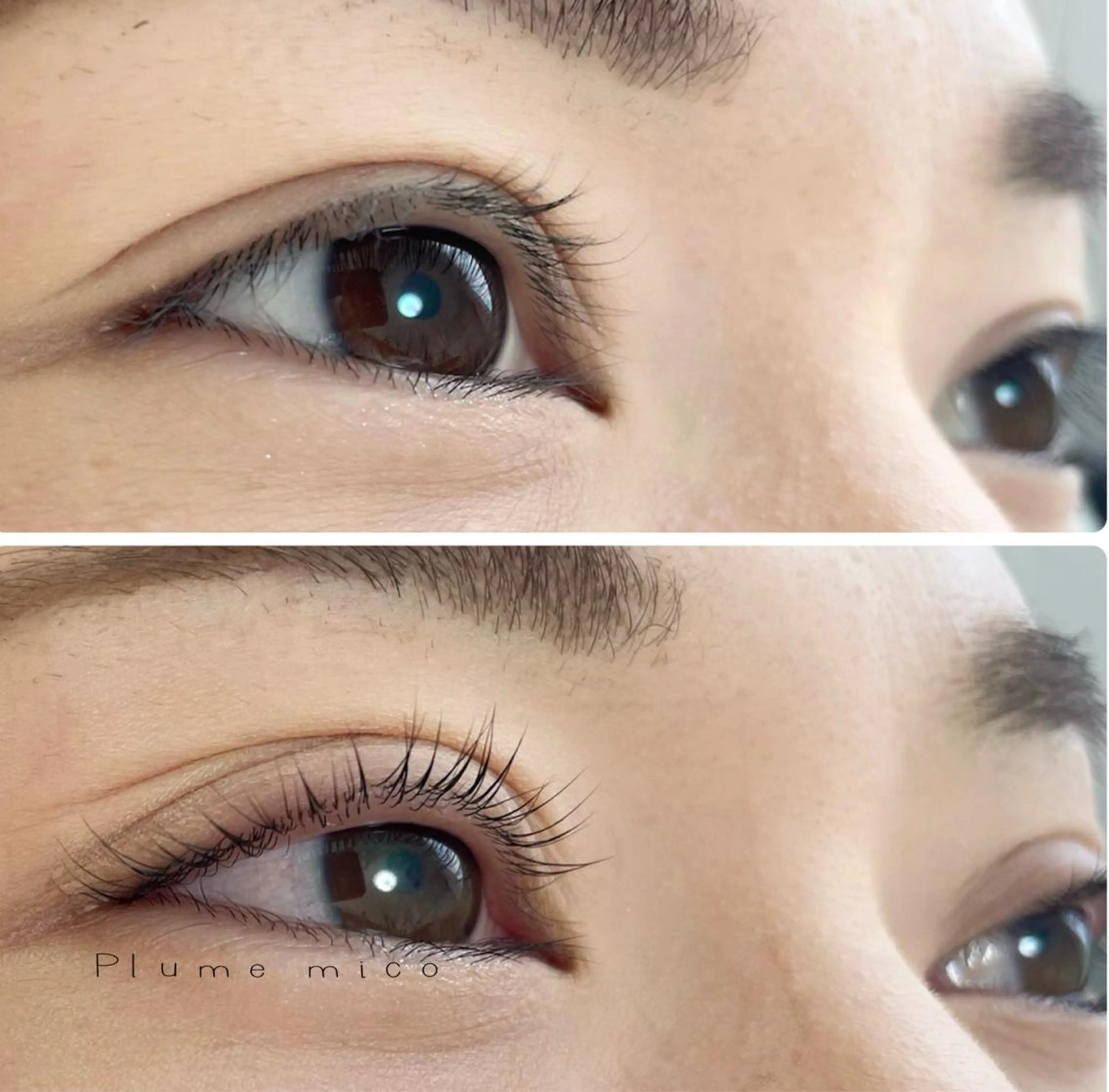 マツエク・マツパ マツパ Plume micoのマツエク・マツパデザイン