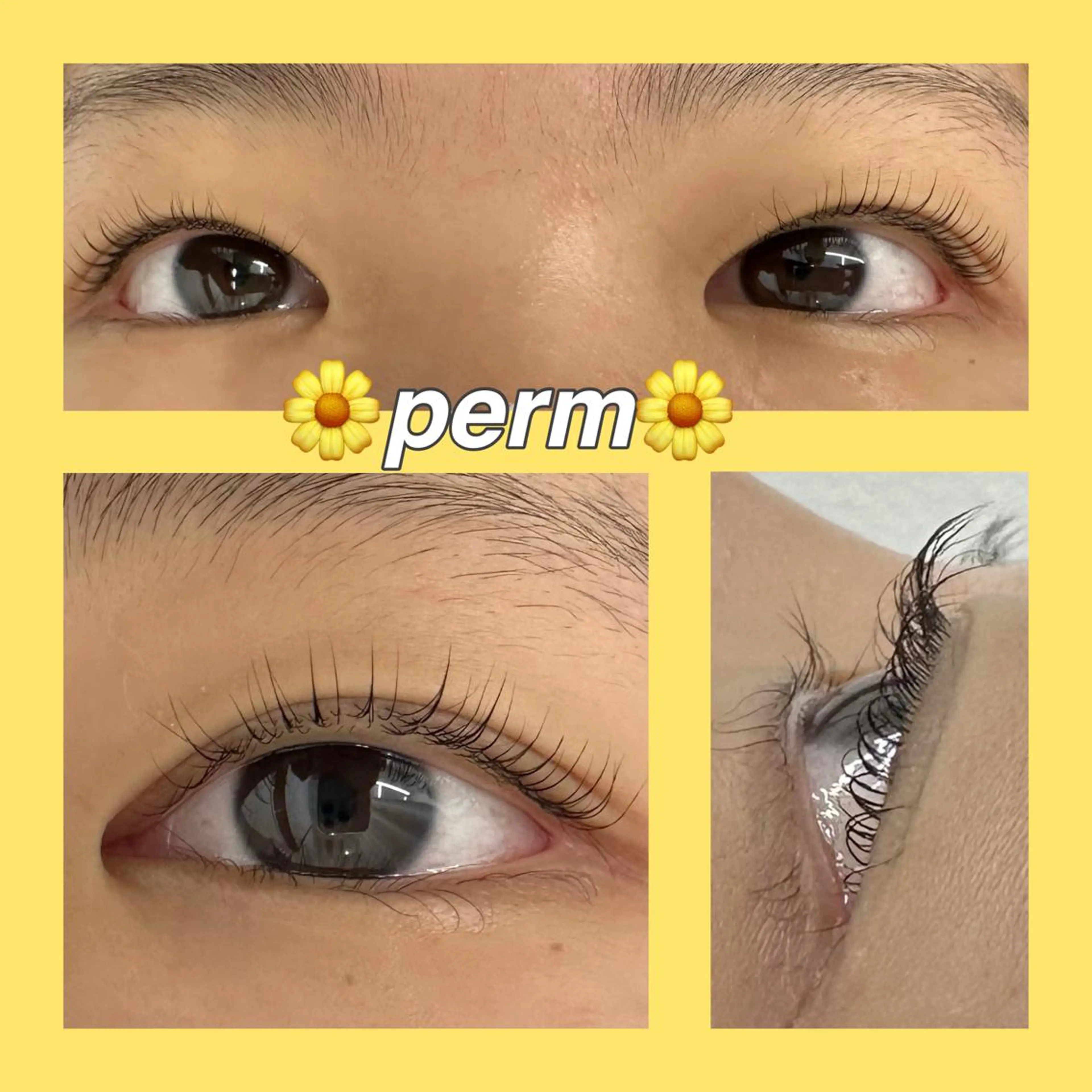 マツエク・マツパ マツパ 柏倉 茉依のマツエク・マツパデザイン