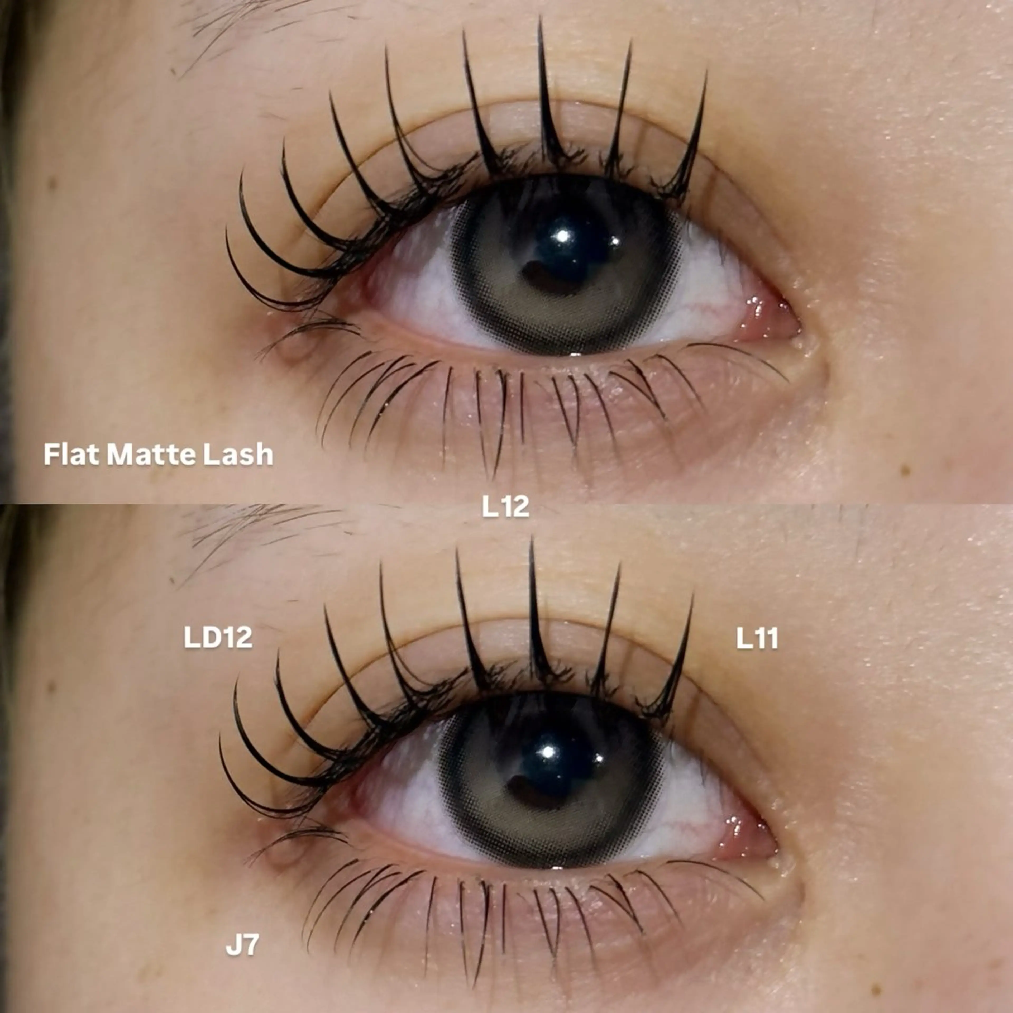 マツエク・マツパ マツエク 透明感ツヤカラー/ アイリスト/ゆきなのマツエク・マツパデザイン