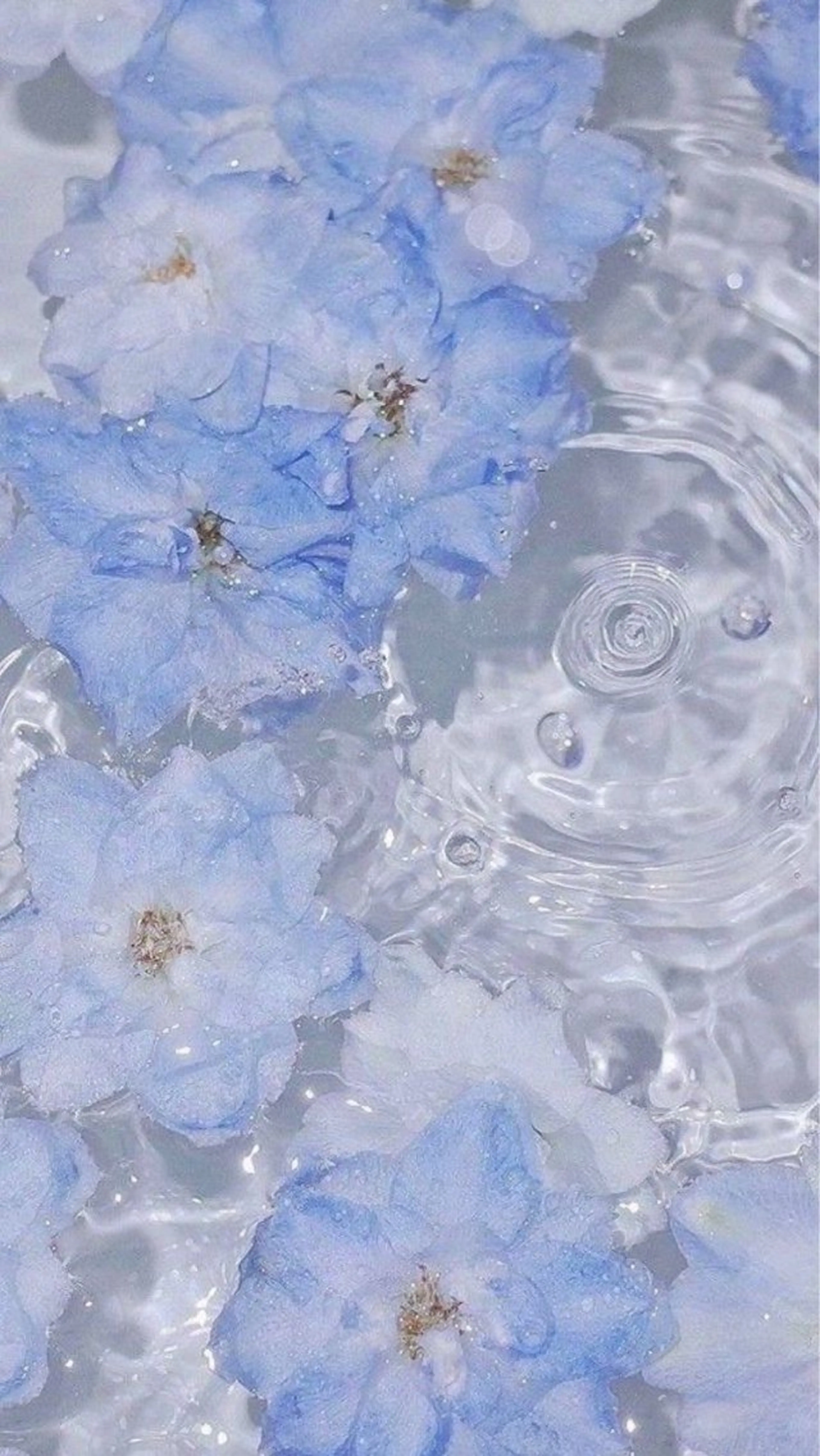 ネイル asuka 🐰のネイルデザイン