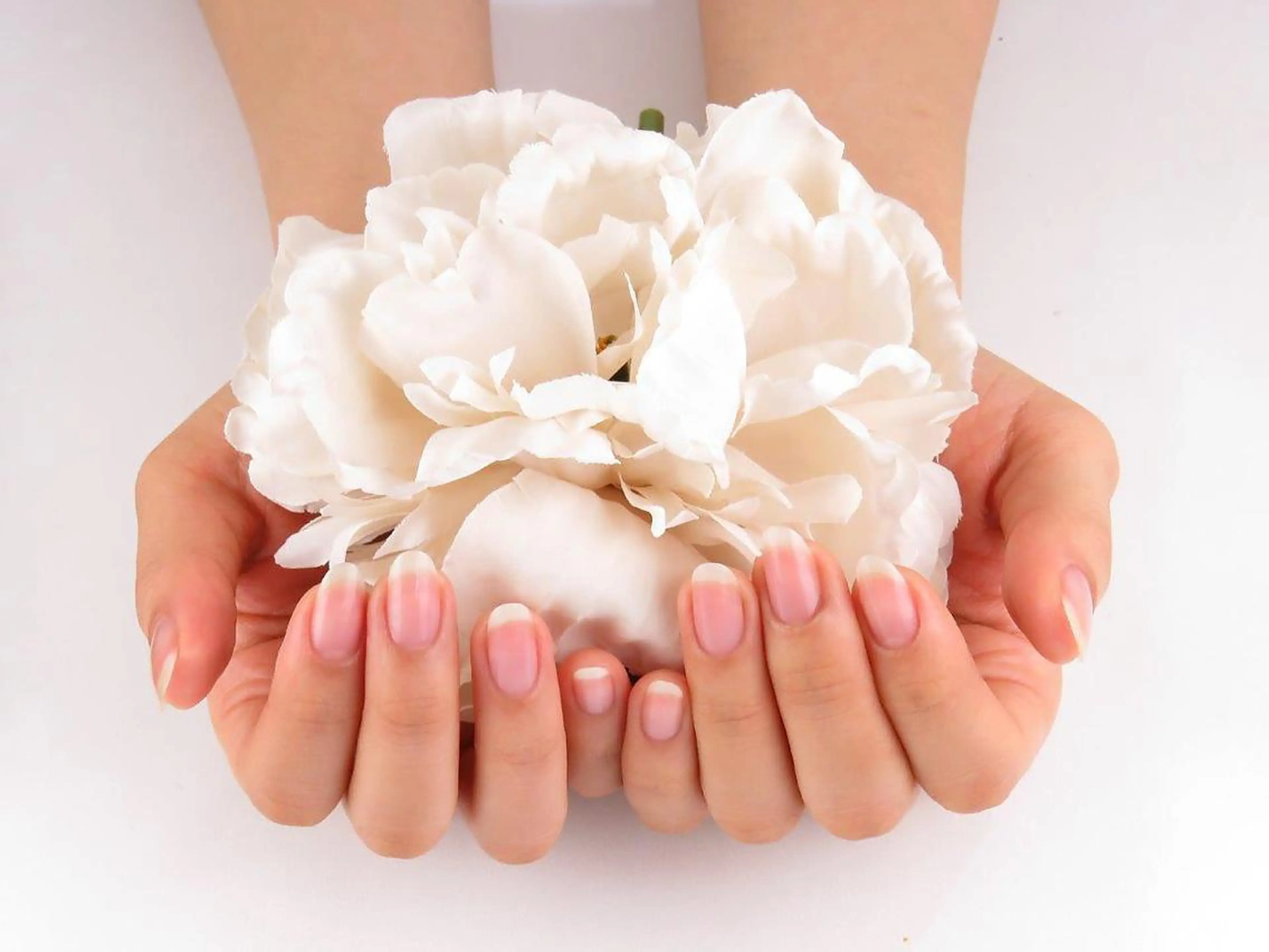 ネイル N.barber / koderaのネイルデザイン