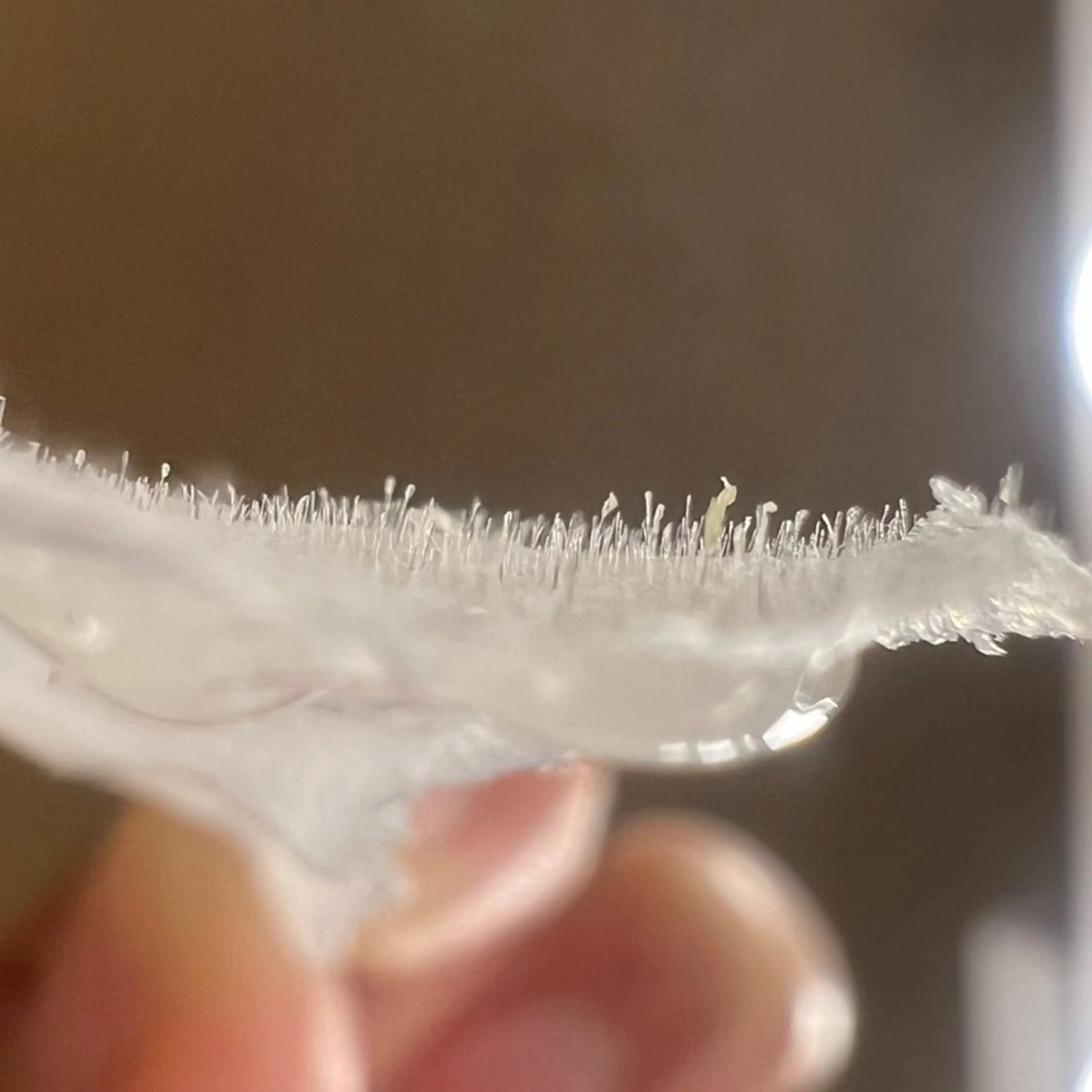 高岳/新栄町 yuu🌼の眉毛・アイブロウイメージ