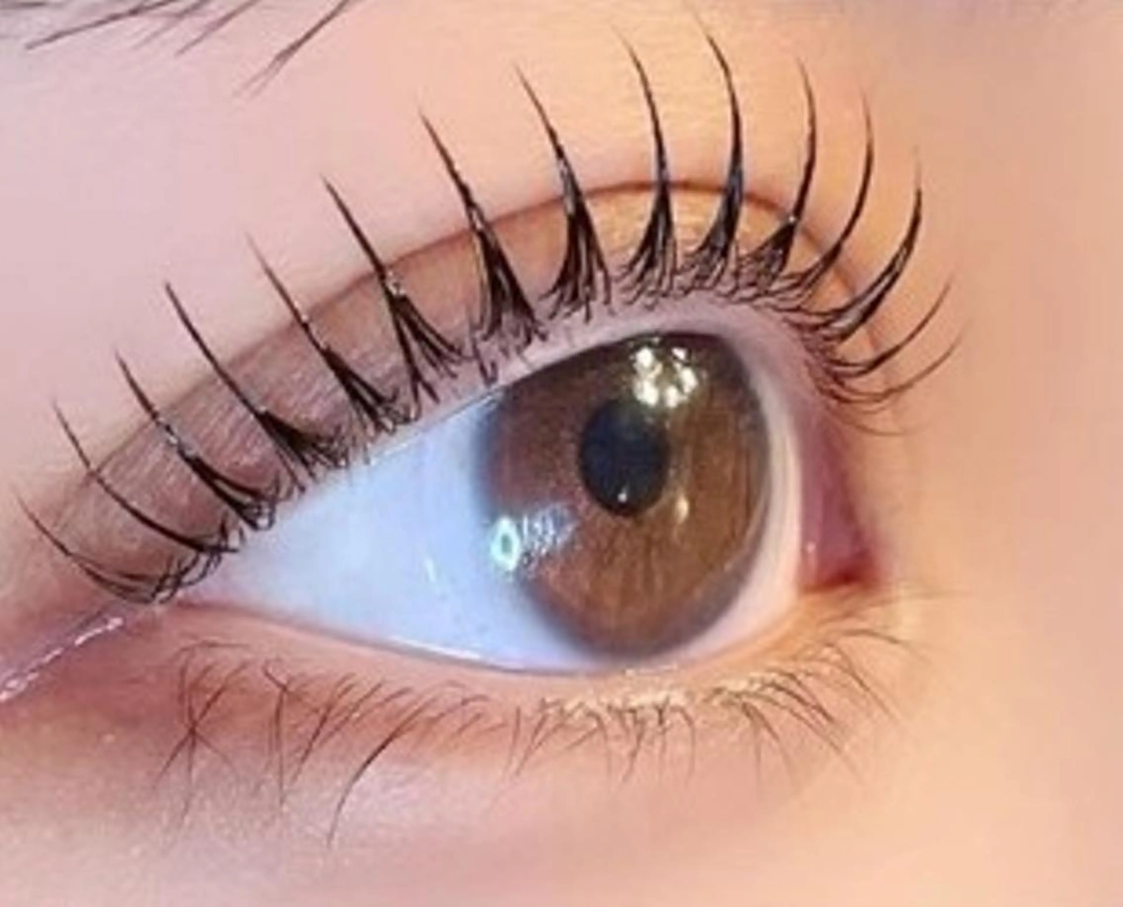 マツエク・マツパ マツパ エクステパーマツイン ズ恋＆eyeのマツエク・マツパデザイン