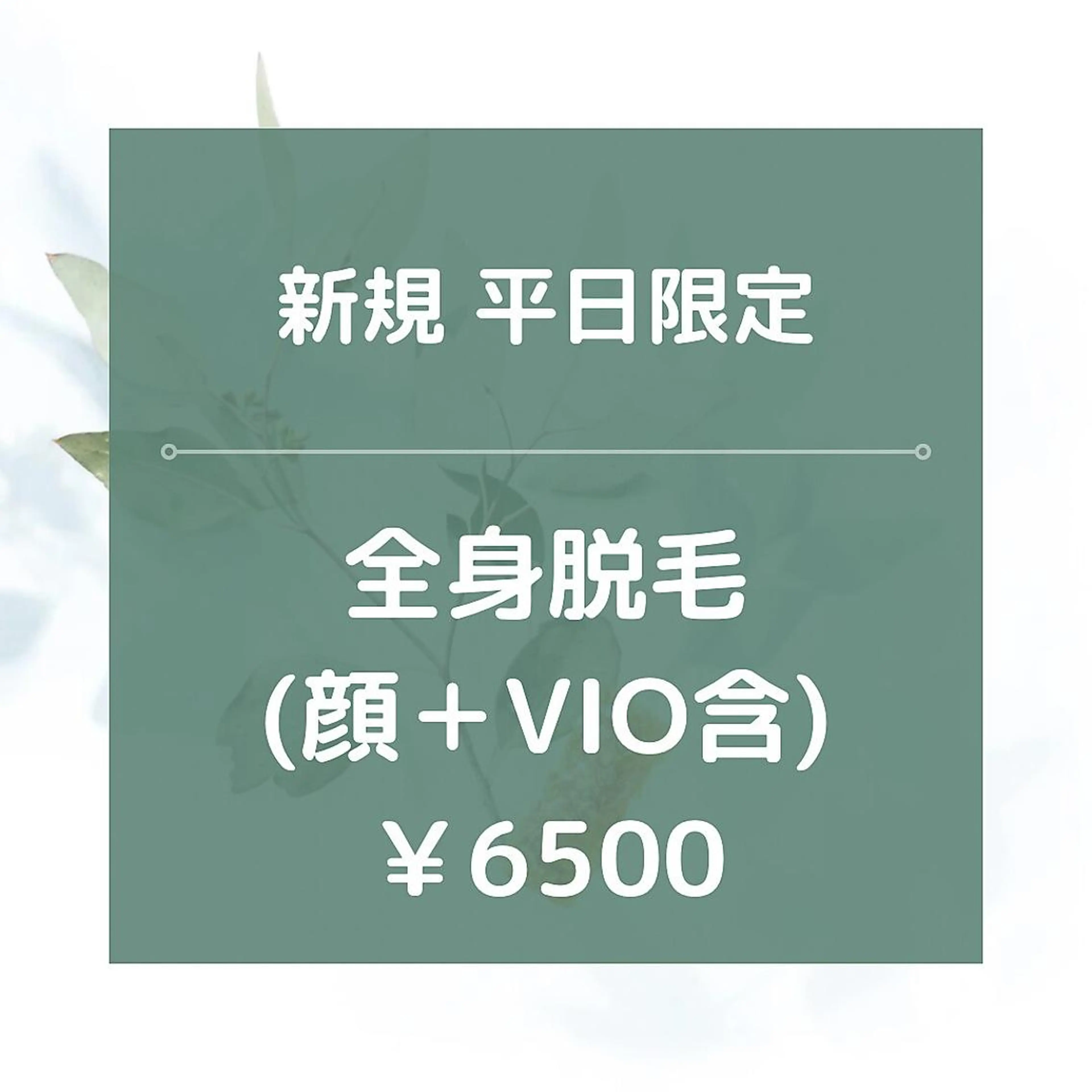 平日限定【新規】★☆全身脱毛(全顔＋VIO含)/¥6500☆★90分✨の写真