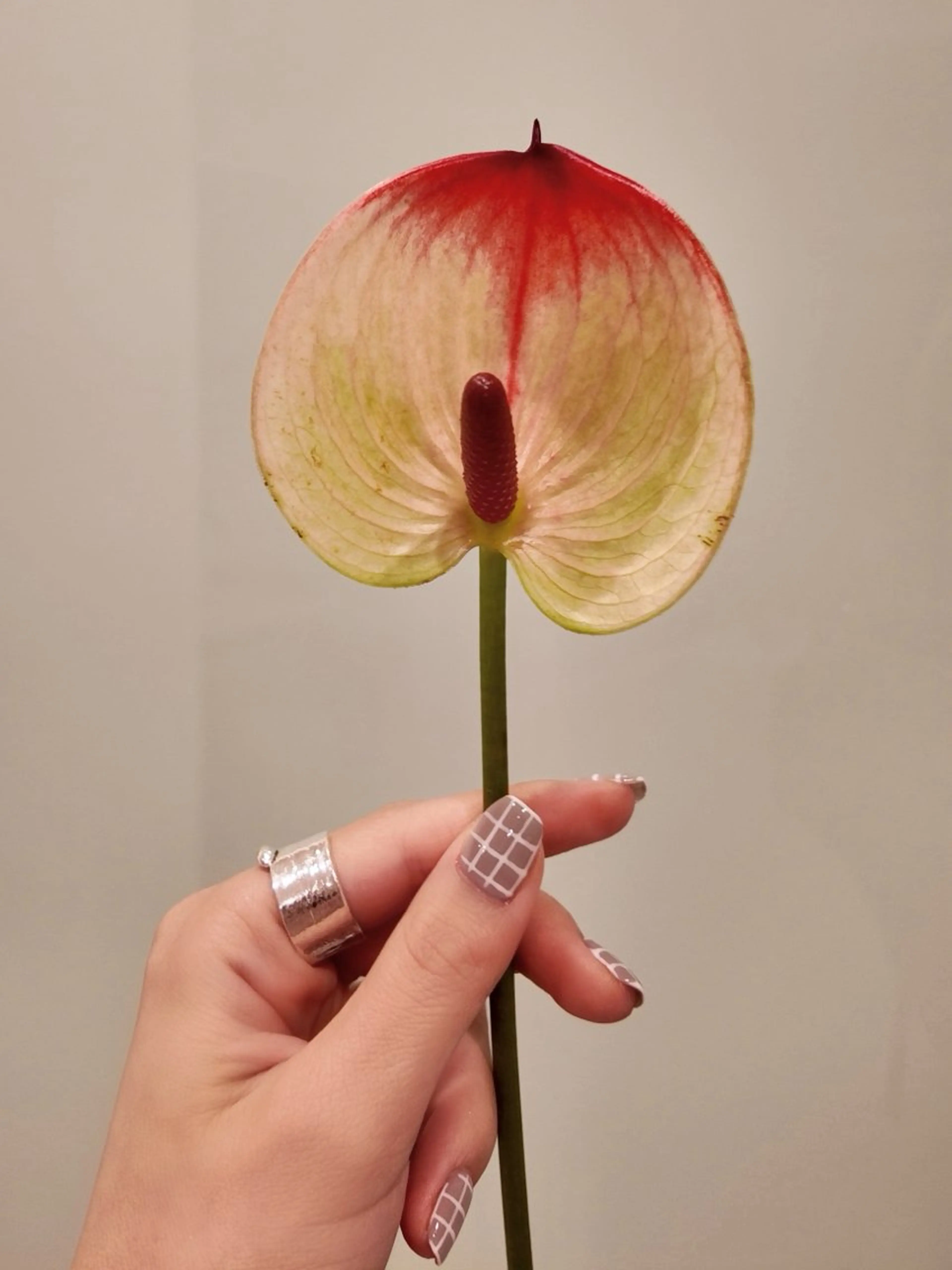 ネイル koyuki /nailのネイルデザイン