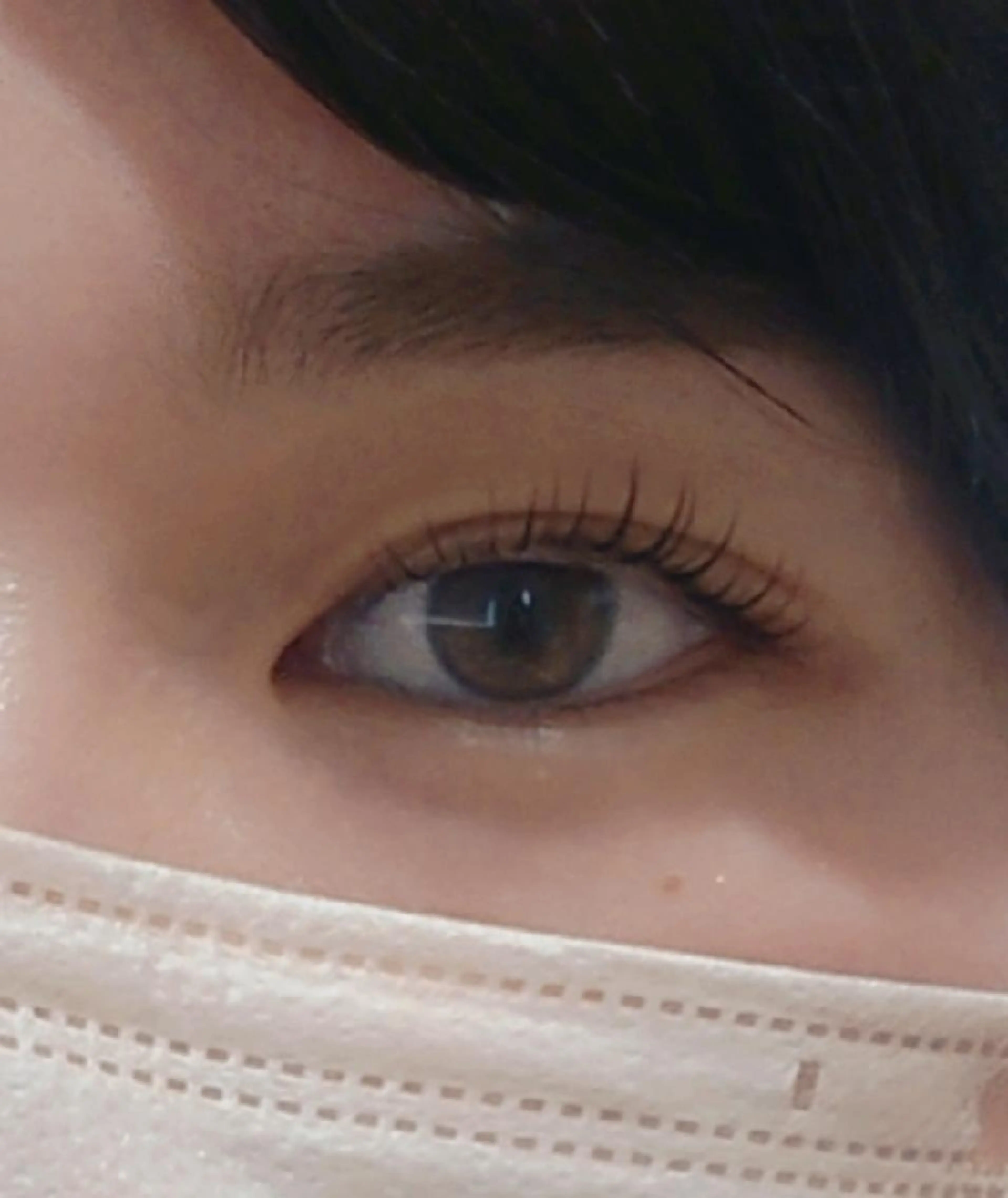 まつ毛パーマ(アイシャンプー、トリートメント込)の写真