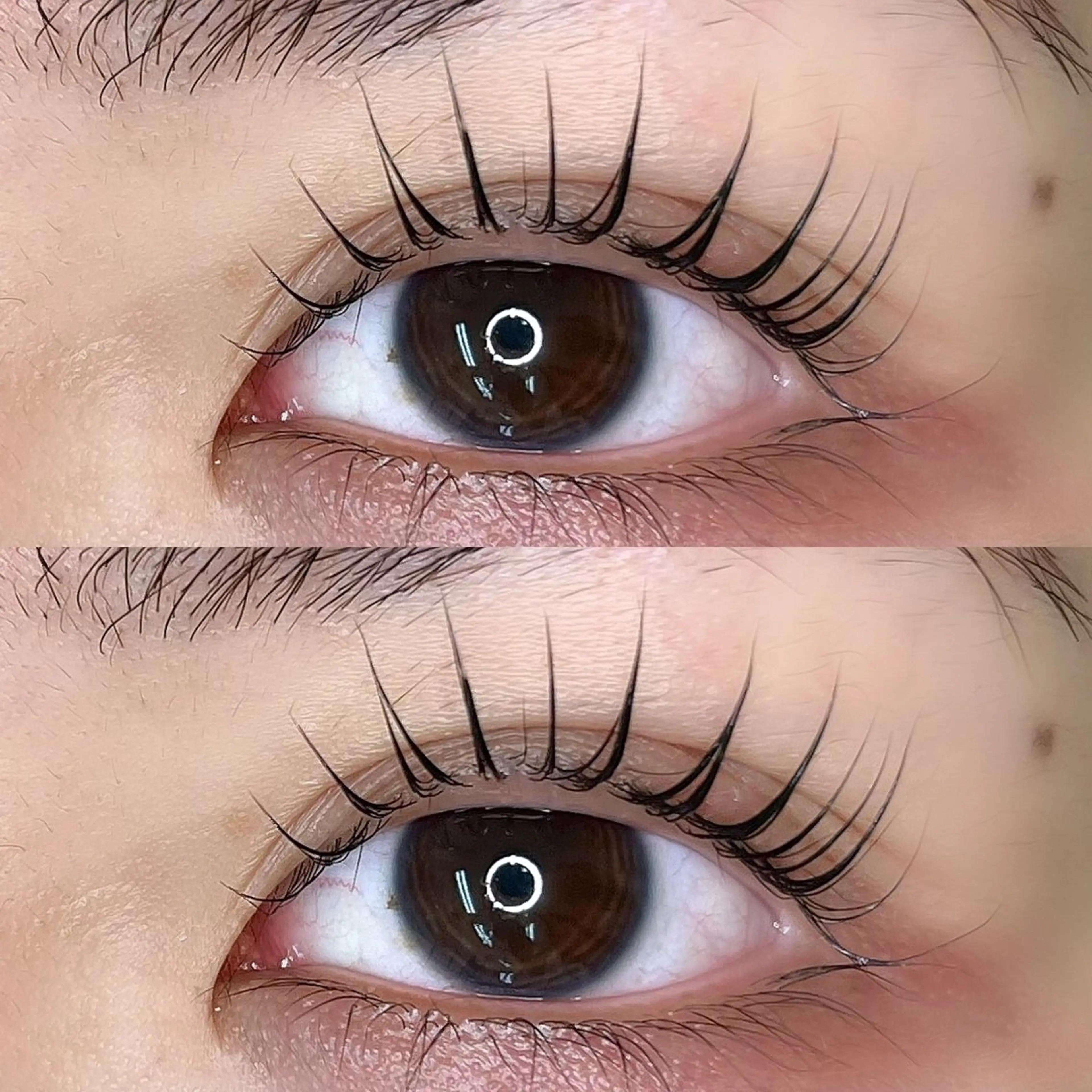 🩵パリジェンヌ・立ち上げカール アイシャンプー付🩵の写真