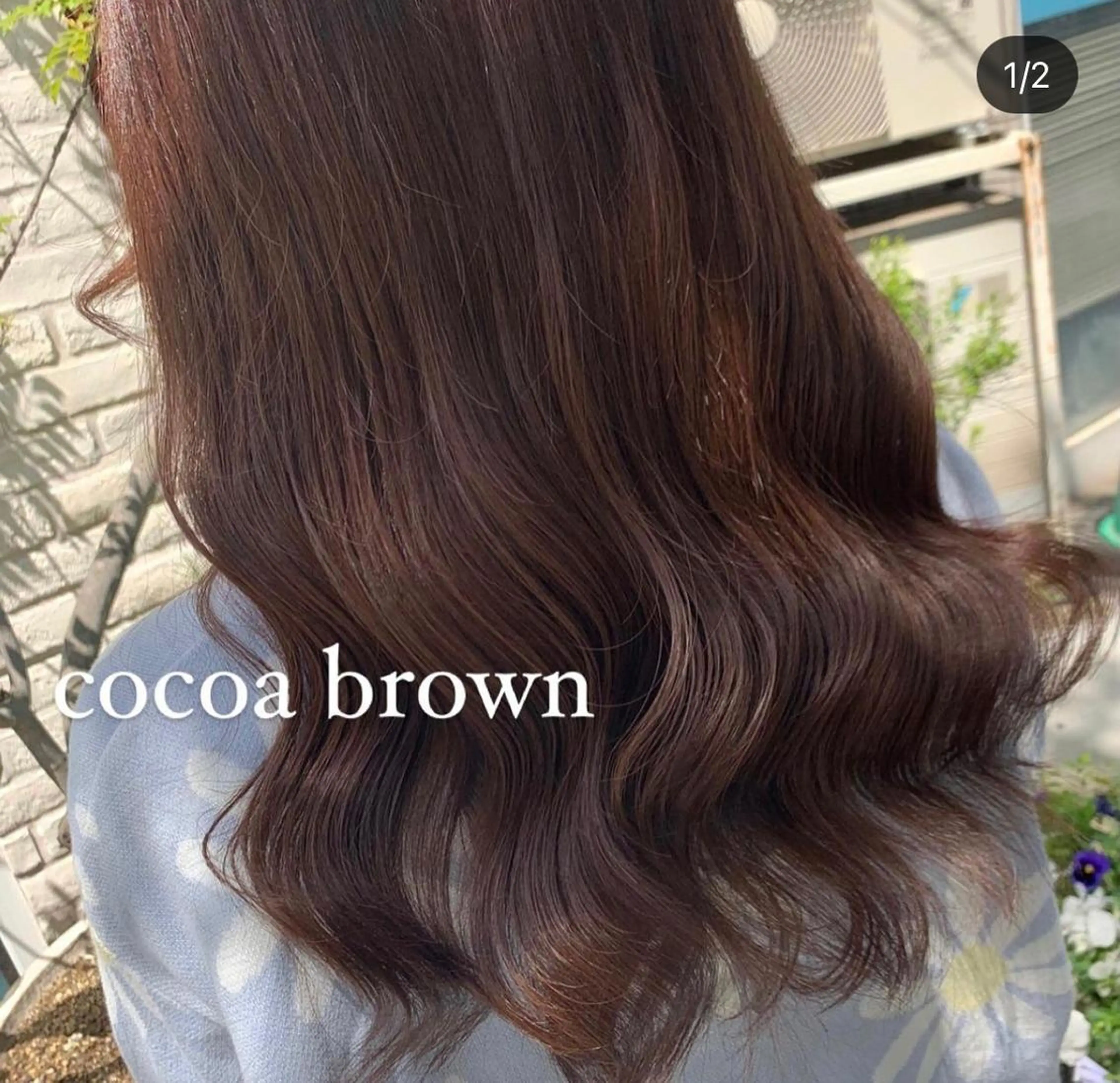 カラー ヤマダ サクラのヘアスタイル