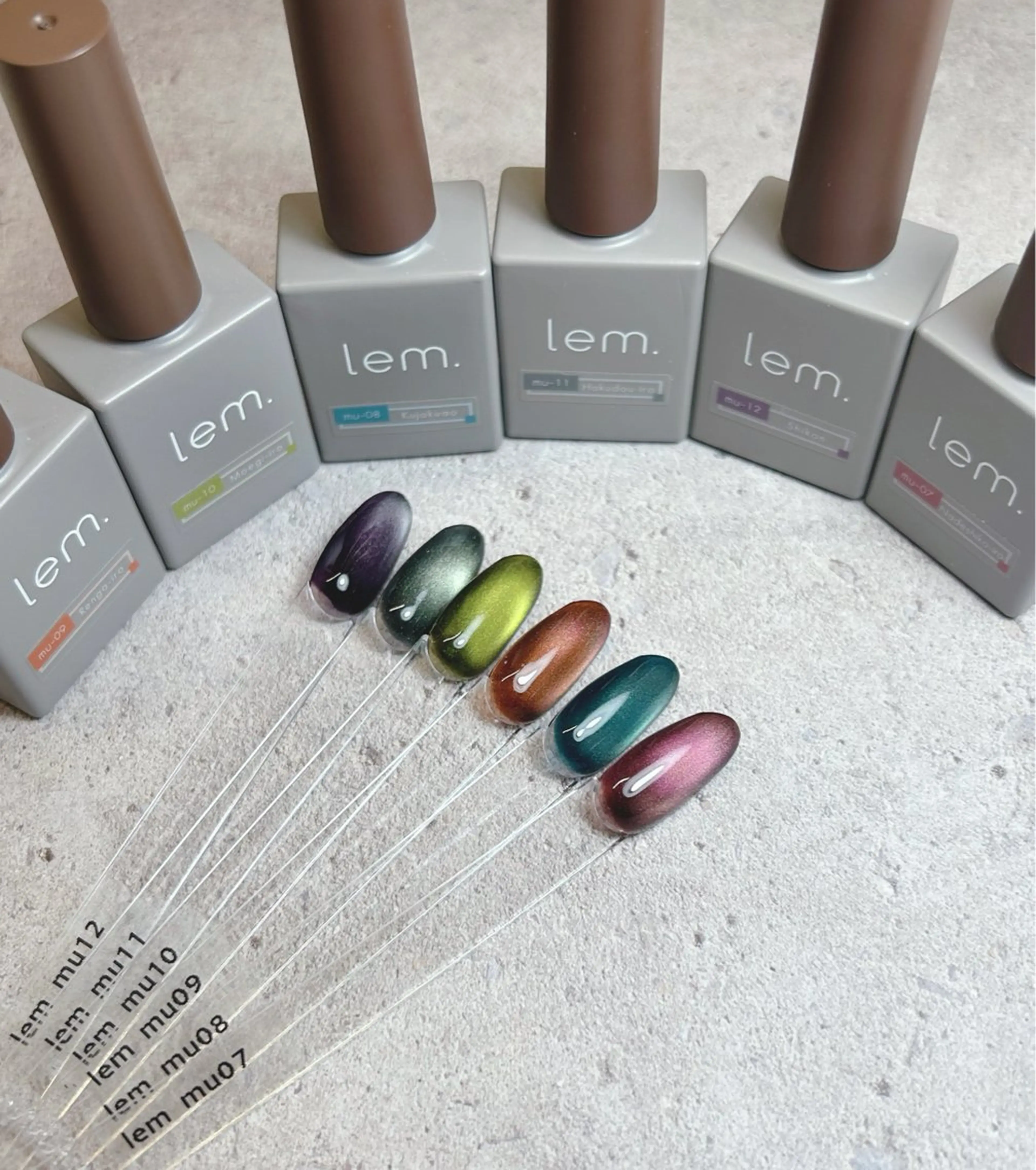 ネイル マグネットネイル 透灯 TOUTOU 🪄のネイルデザイン