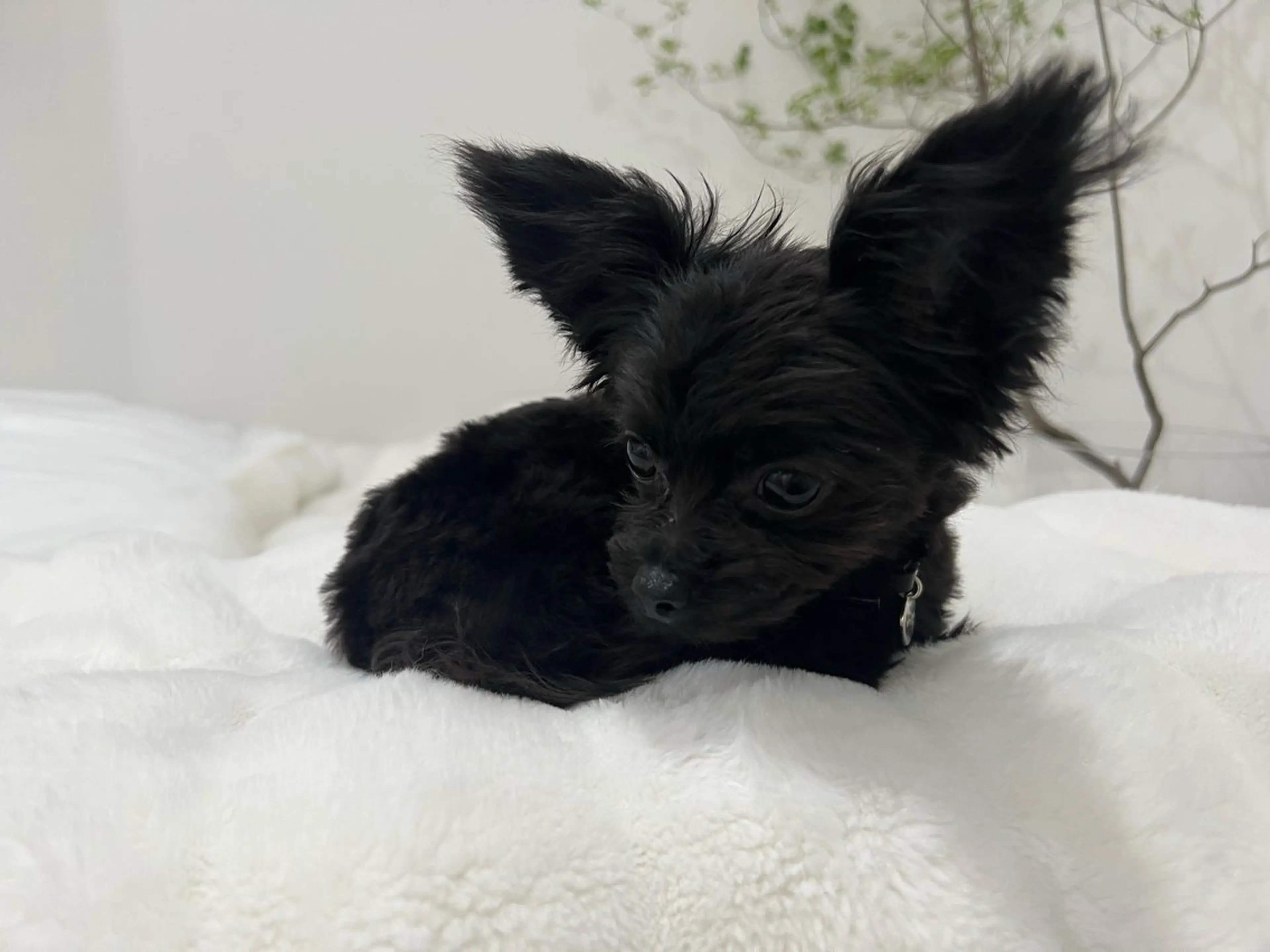 eye salon U-ga/中目黒のその他イメージ