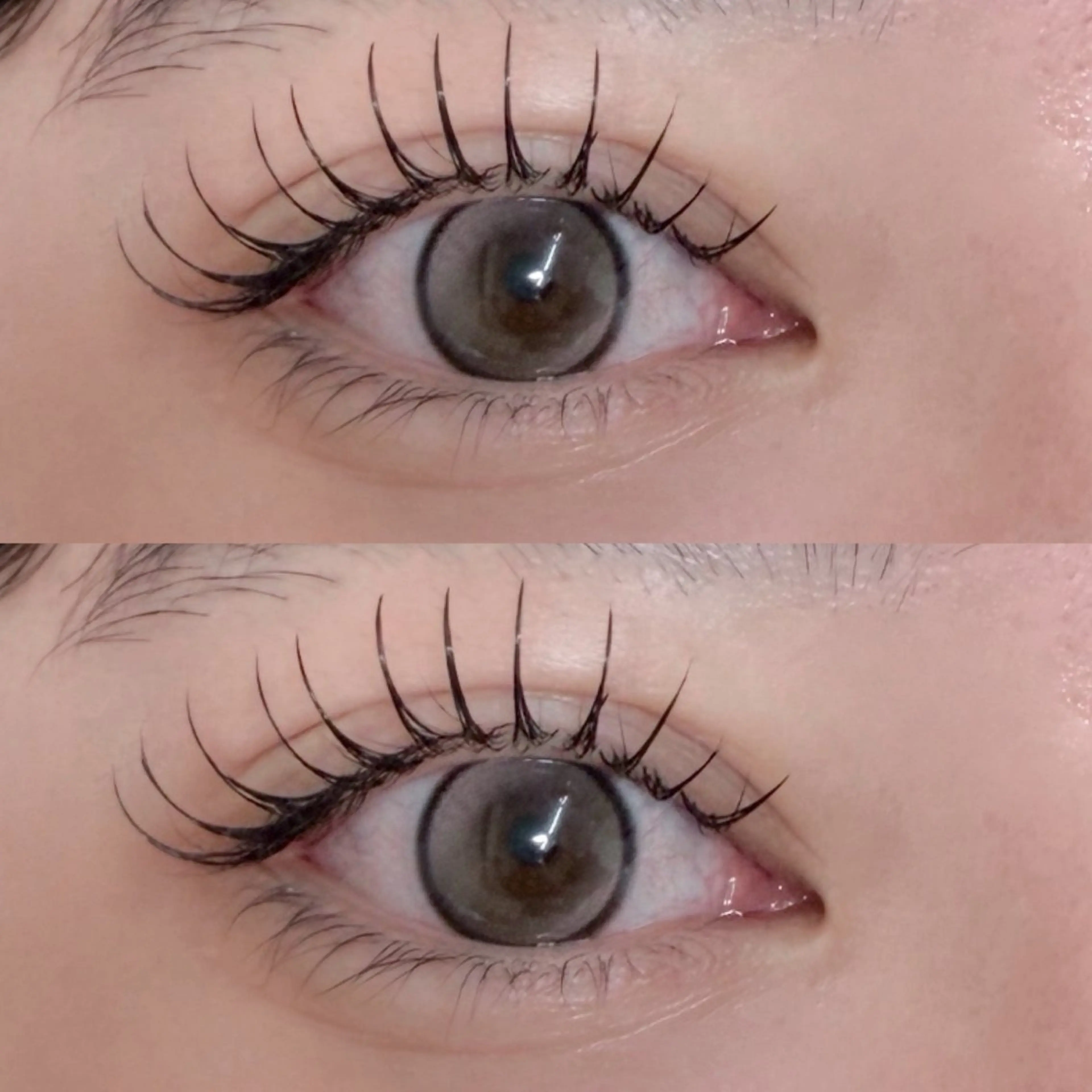 マツエク・マツパ VENUSBELT Renのマツエク・マツパデザイン